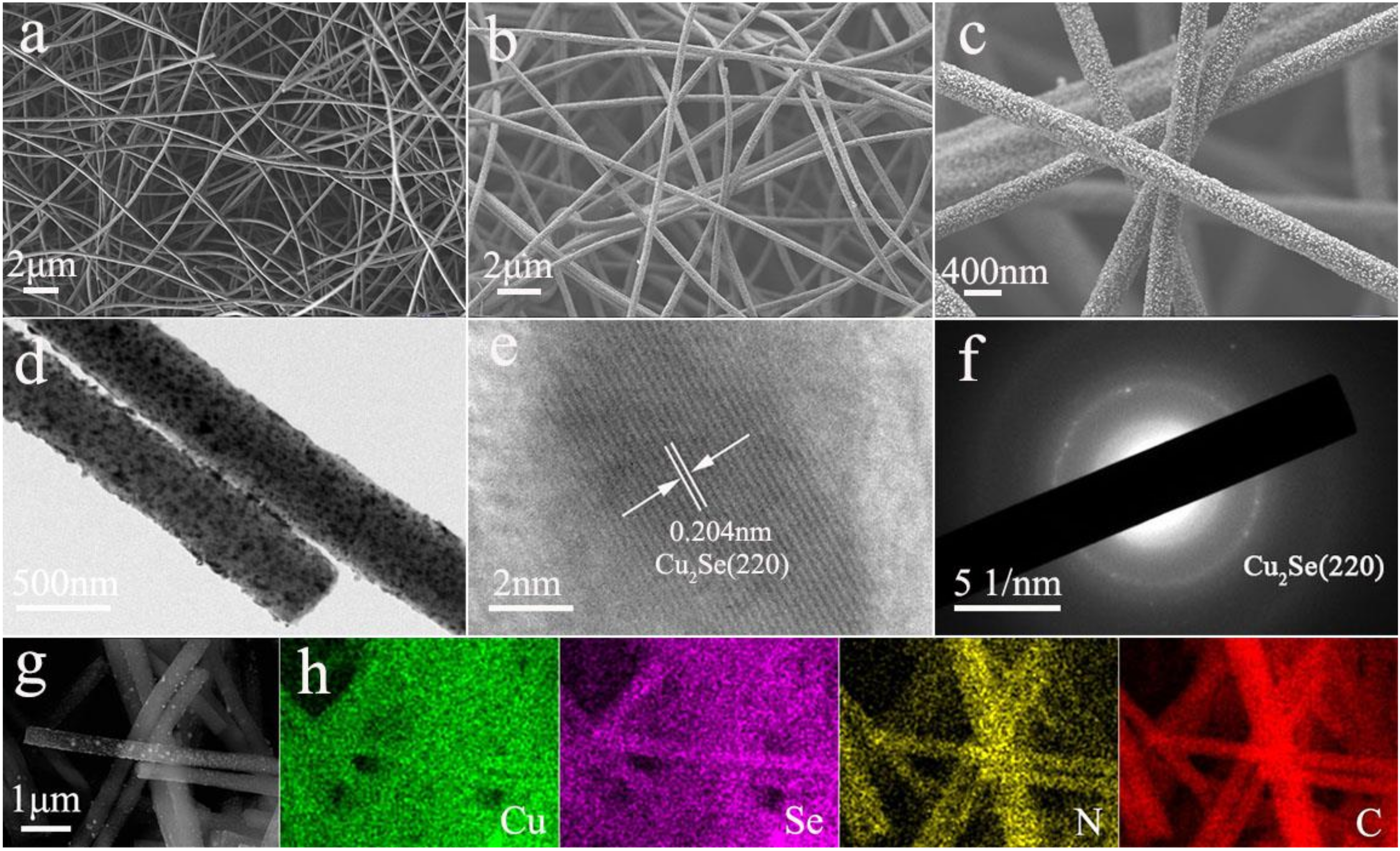 Nanomaterials 10 00302 g001