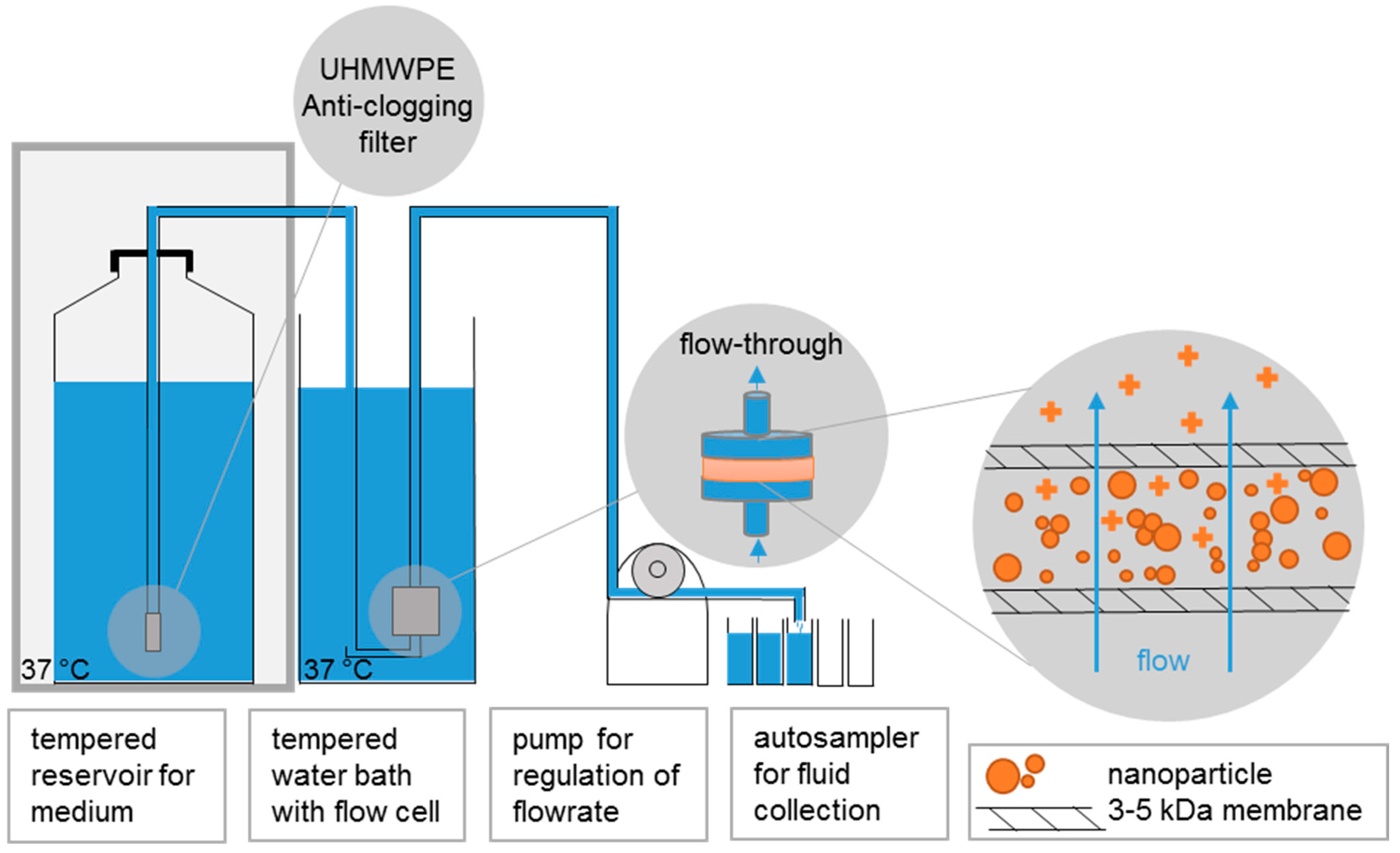 Nanomaterials 10 00311 g001