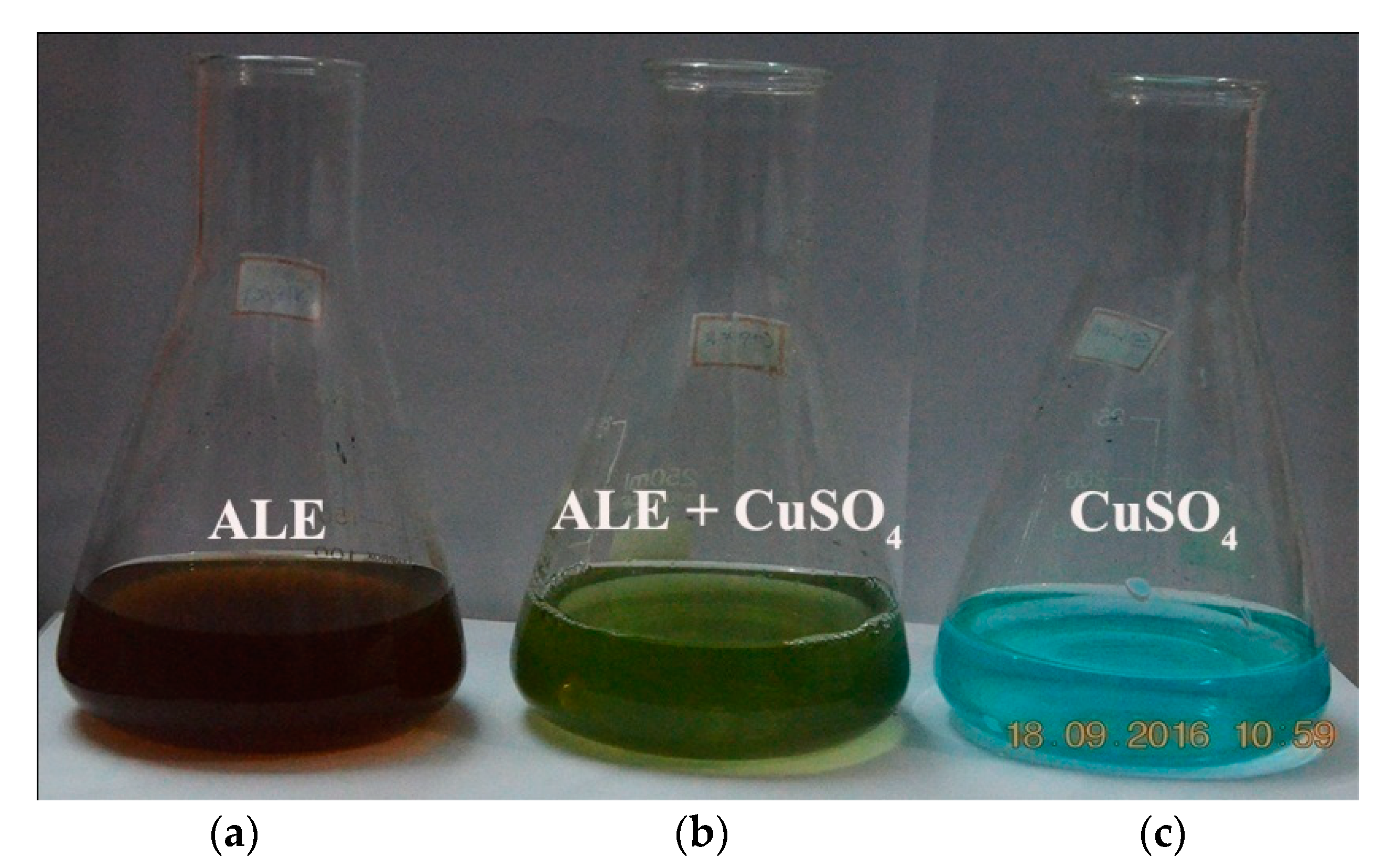 Nanomaterials 10 00312 g002