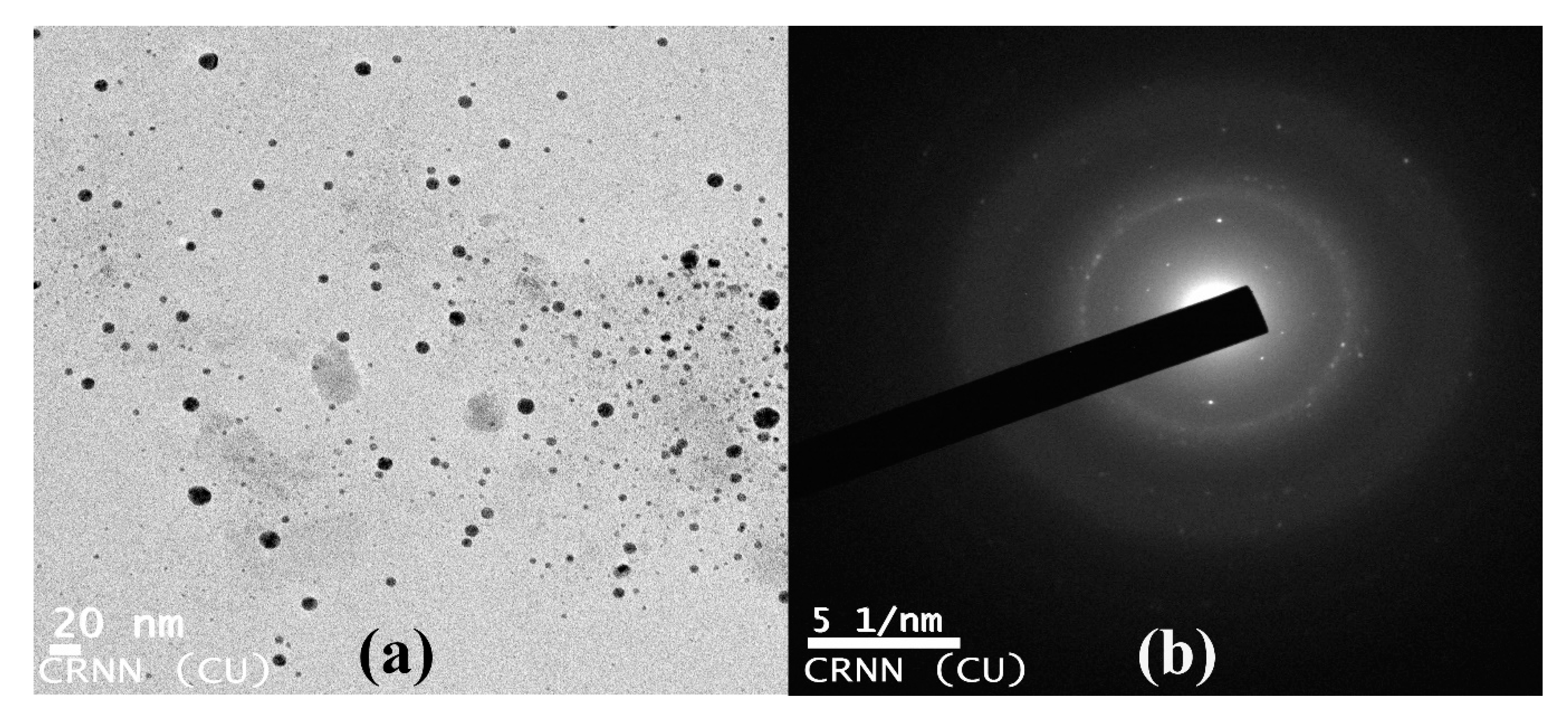 Nanomaterials 10 00312 g009