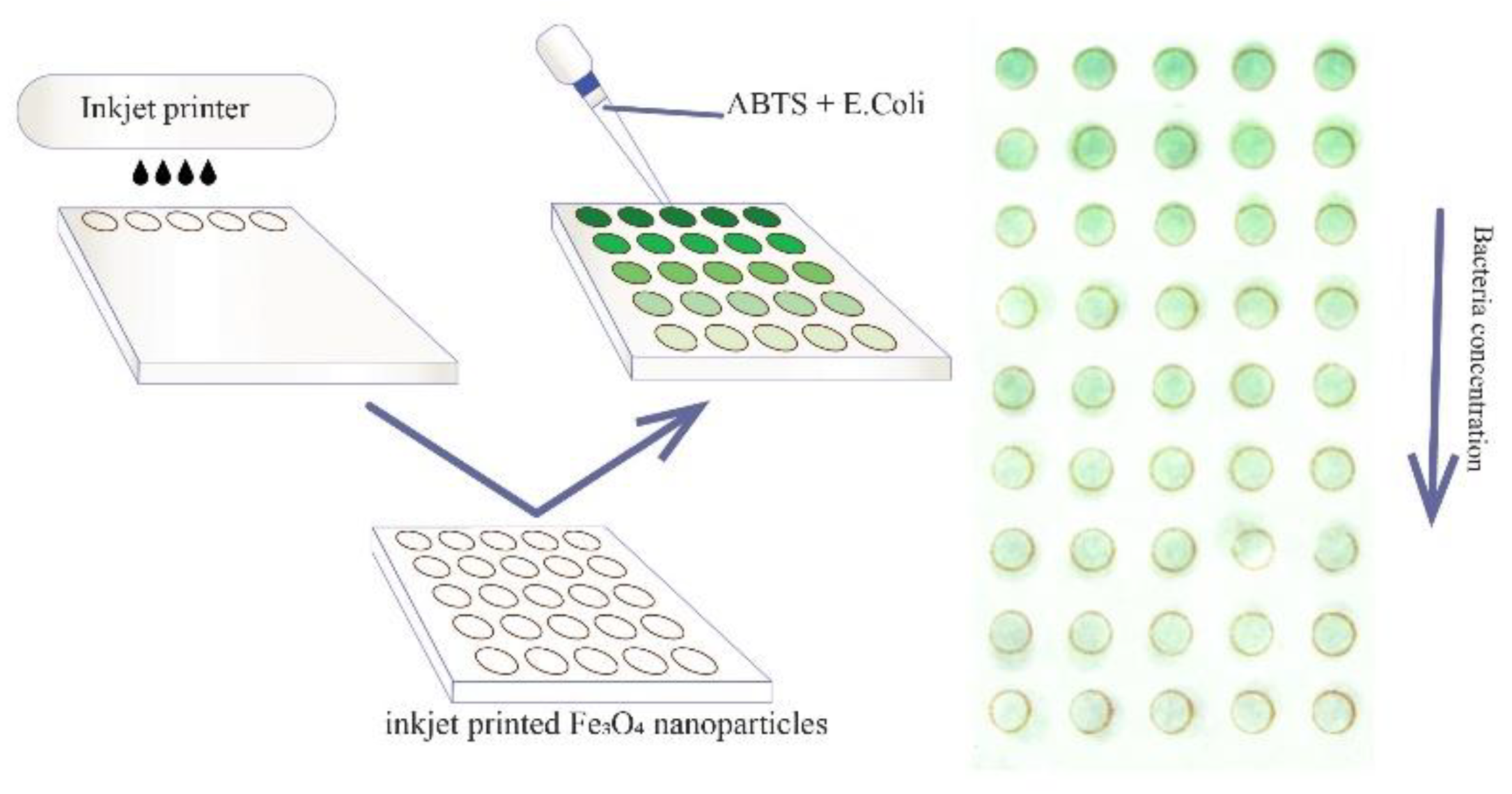 Nanomaterials 10 00313 g001