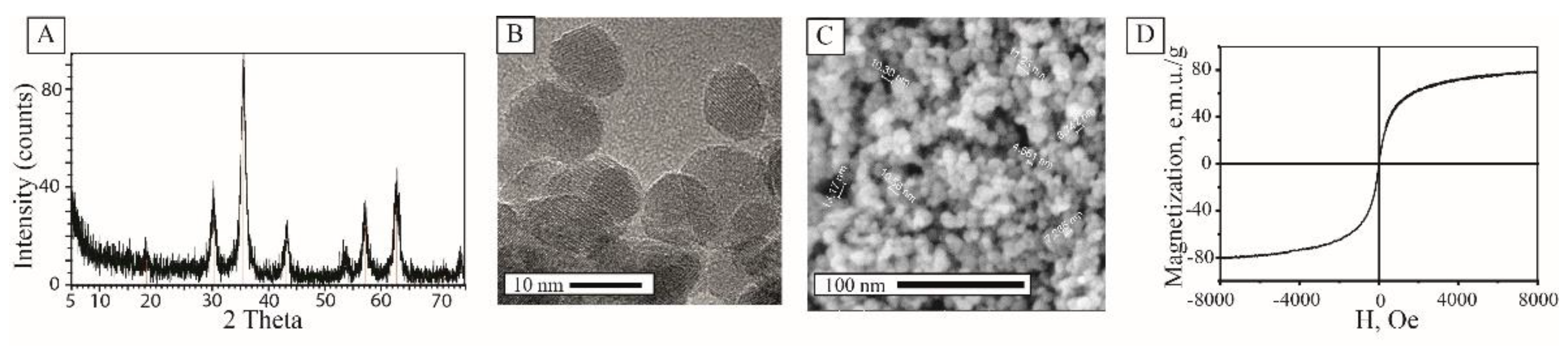 Nanomaterials 10 00313 g002