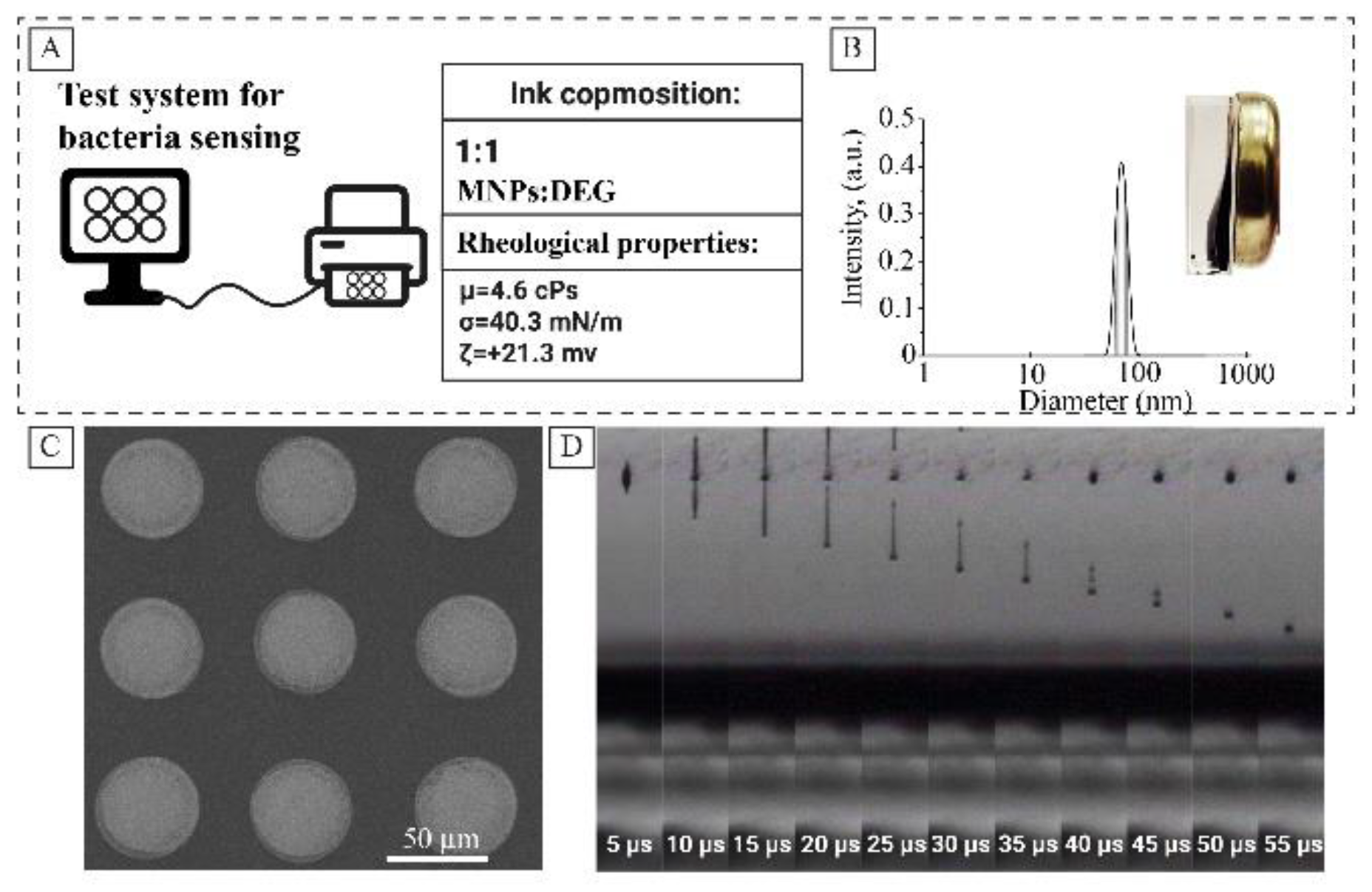 Nanomaterials 10 00313 g005
