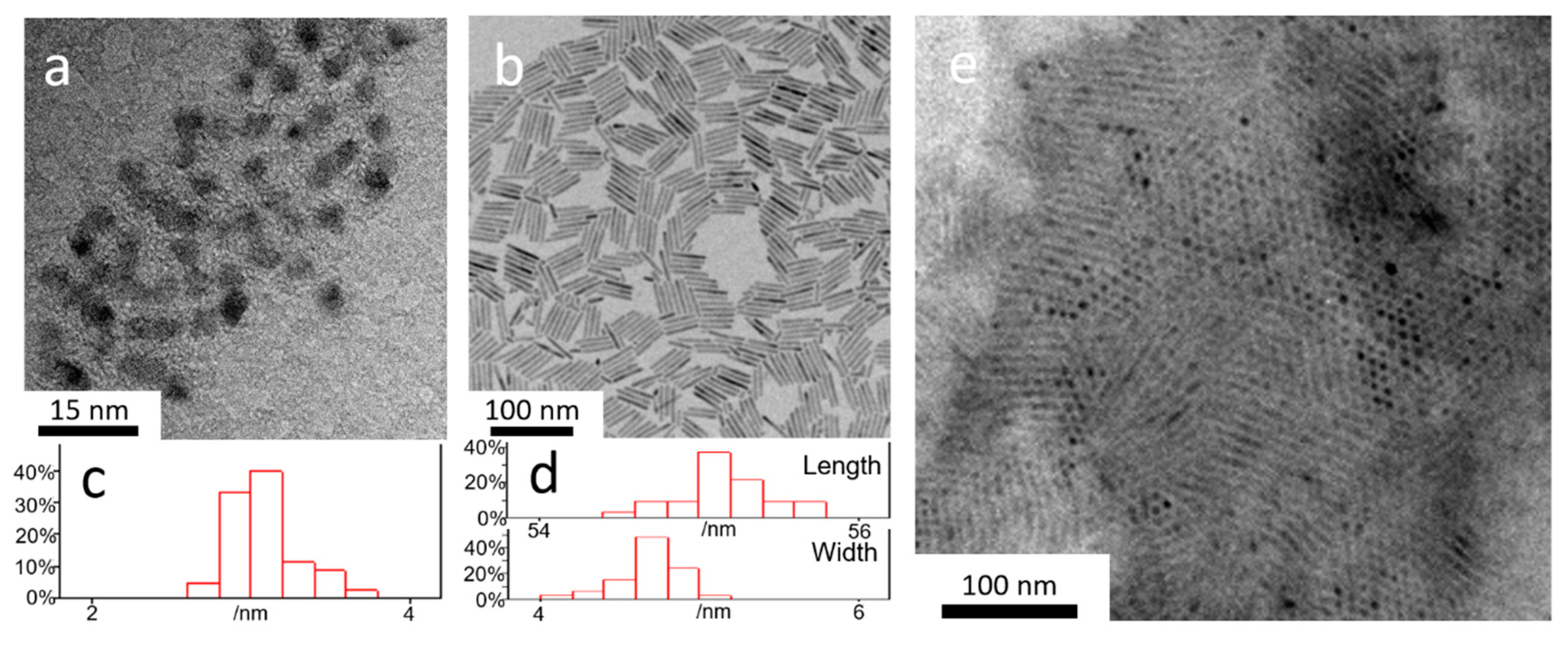 Nanomaterials 10 00317 g001