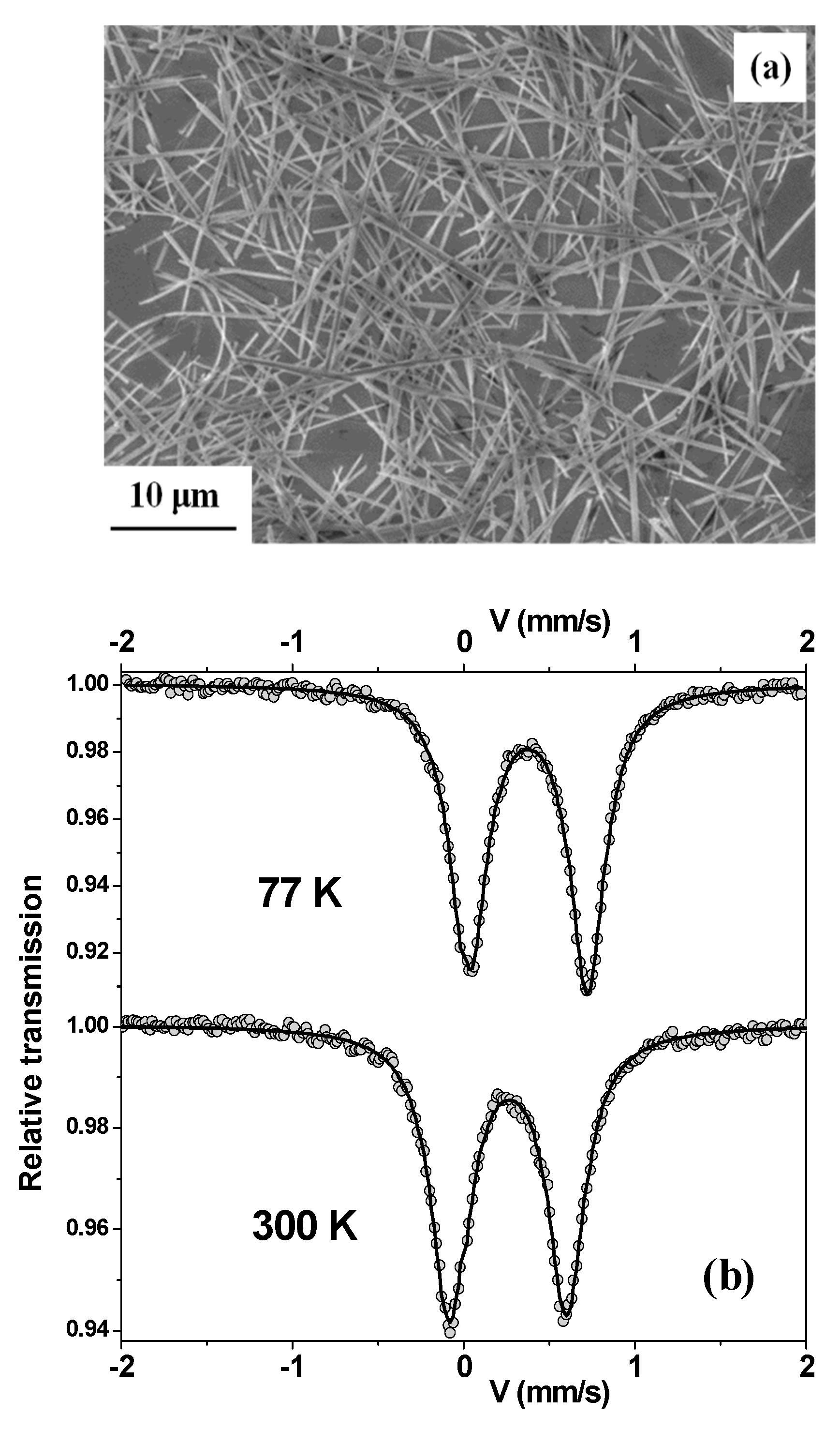 Nanomaterials 10 00318 g001