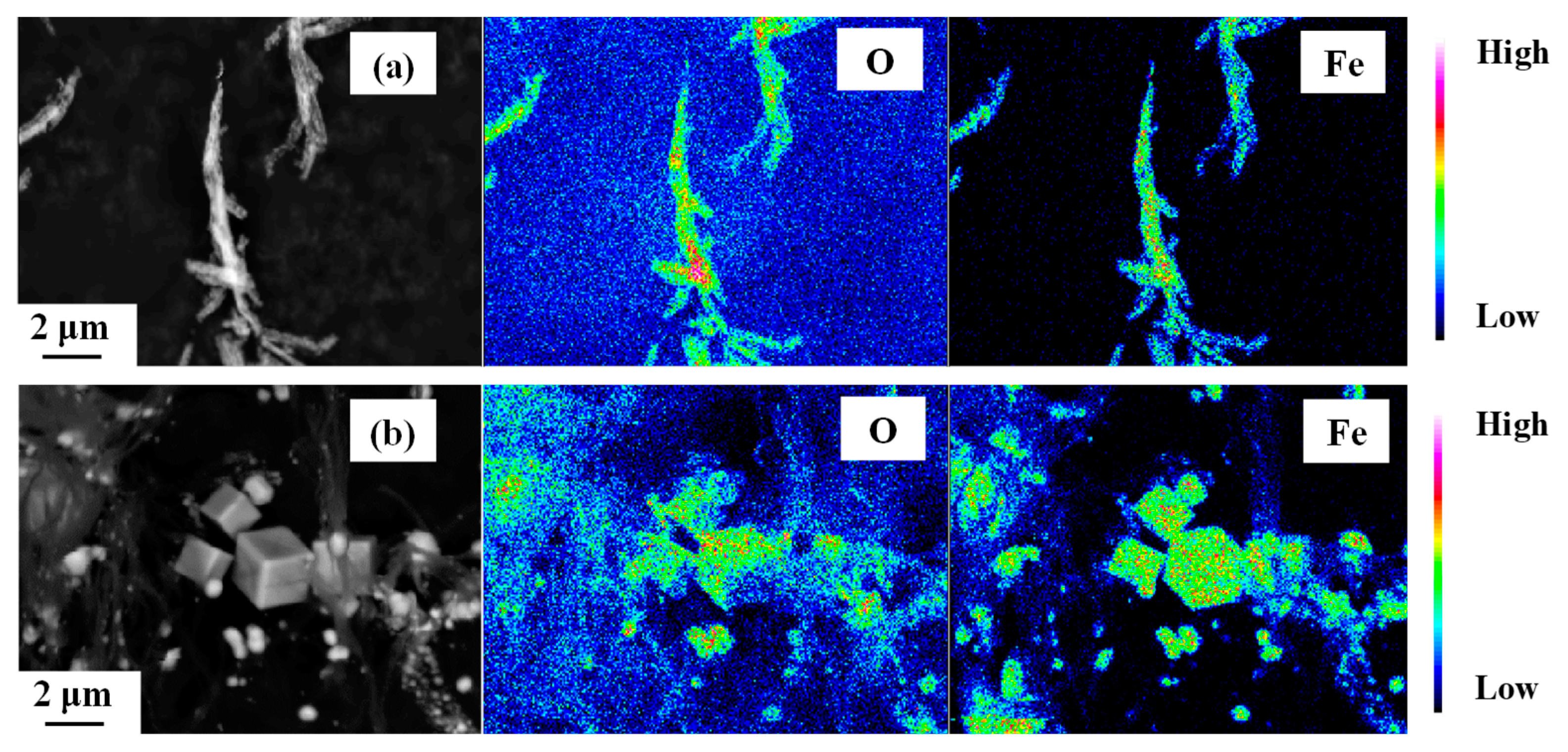 Nanomaterials 10 00318 g005