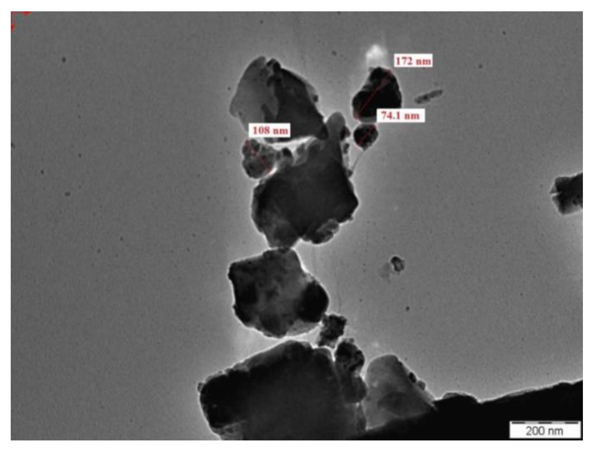 Nanomaterials 10 00324 g003