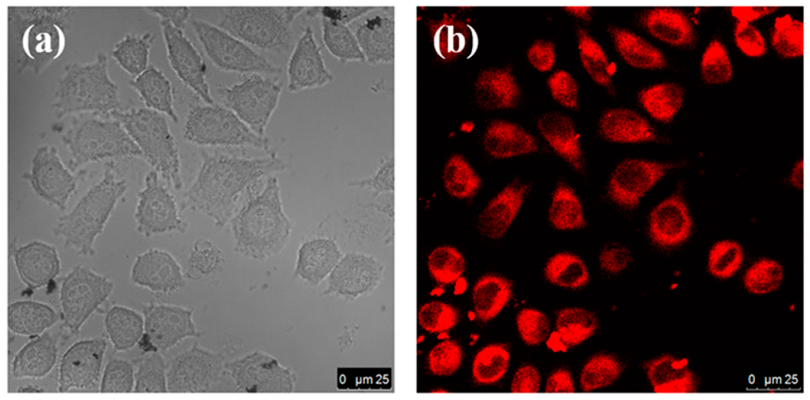 Nanomaterials 10 00326 g005 Nanomaterials 10 00326 g005