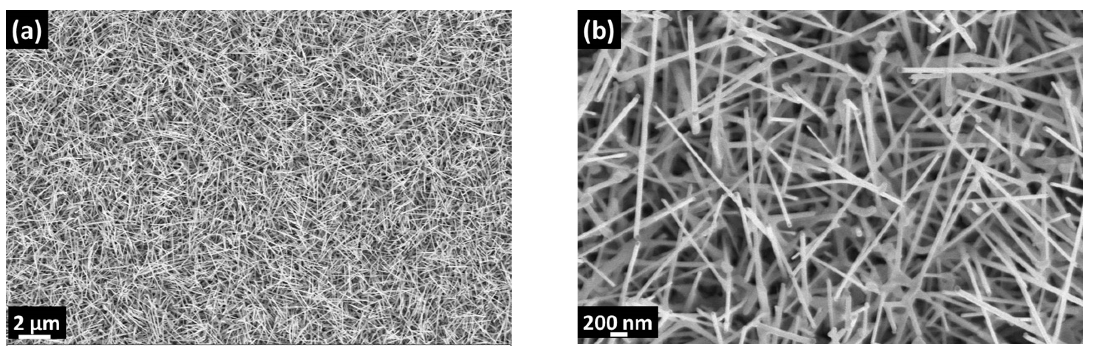Nanomaterials 10 00329 g002