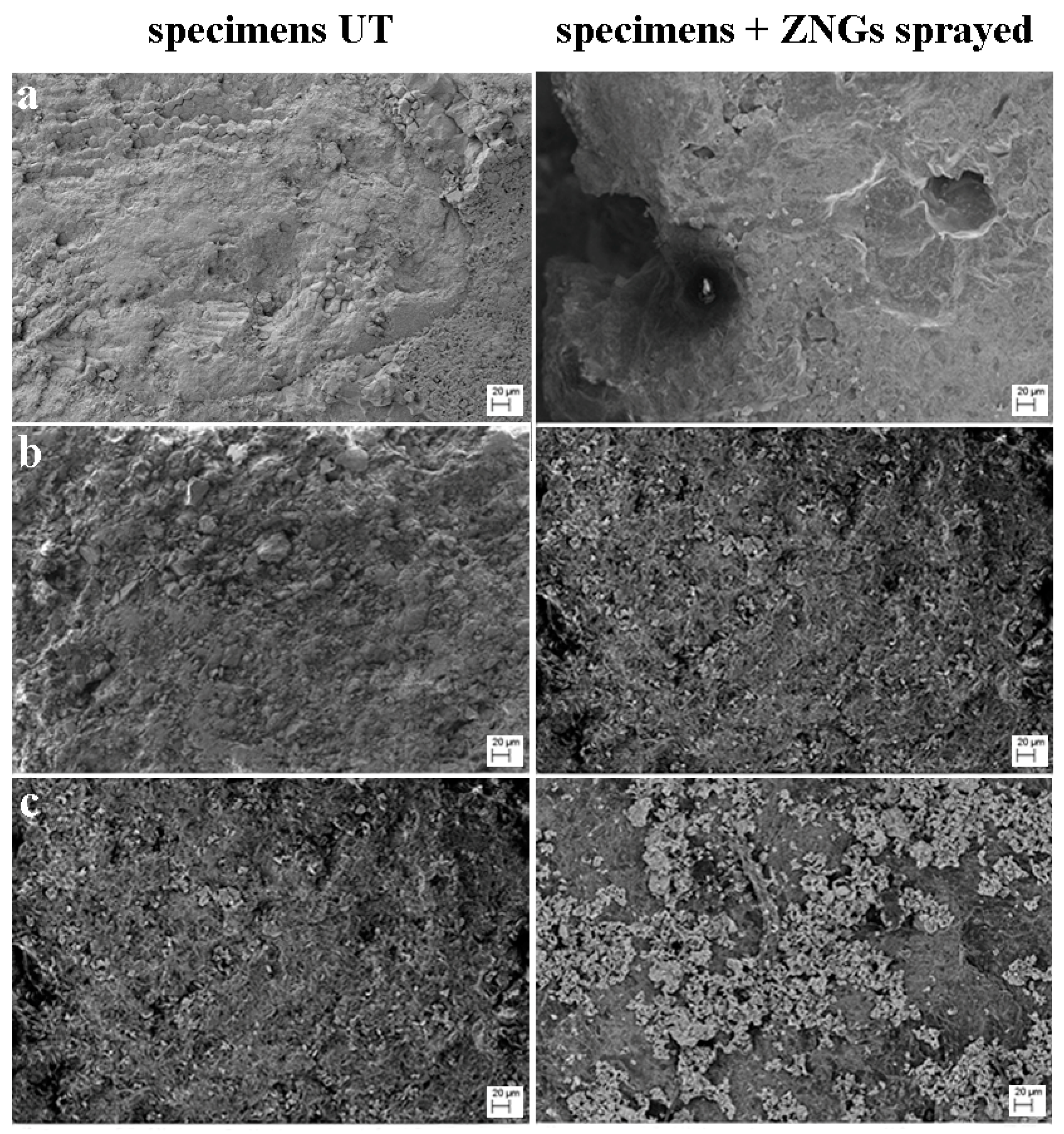 Nanomaterials 10 00335 g005 Nanomaterials 10 00335 g005