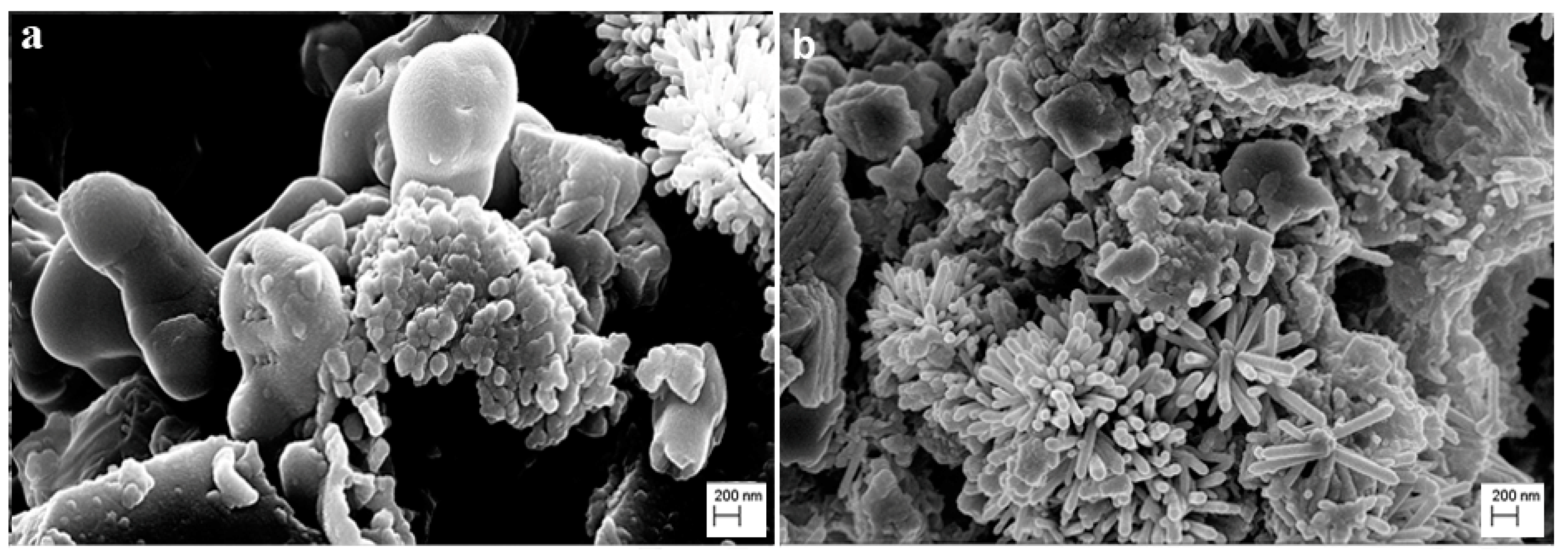 Nanomaterials 10 00335 g007 Nanomaterials 10 00335 g007