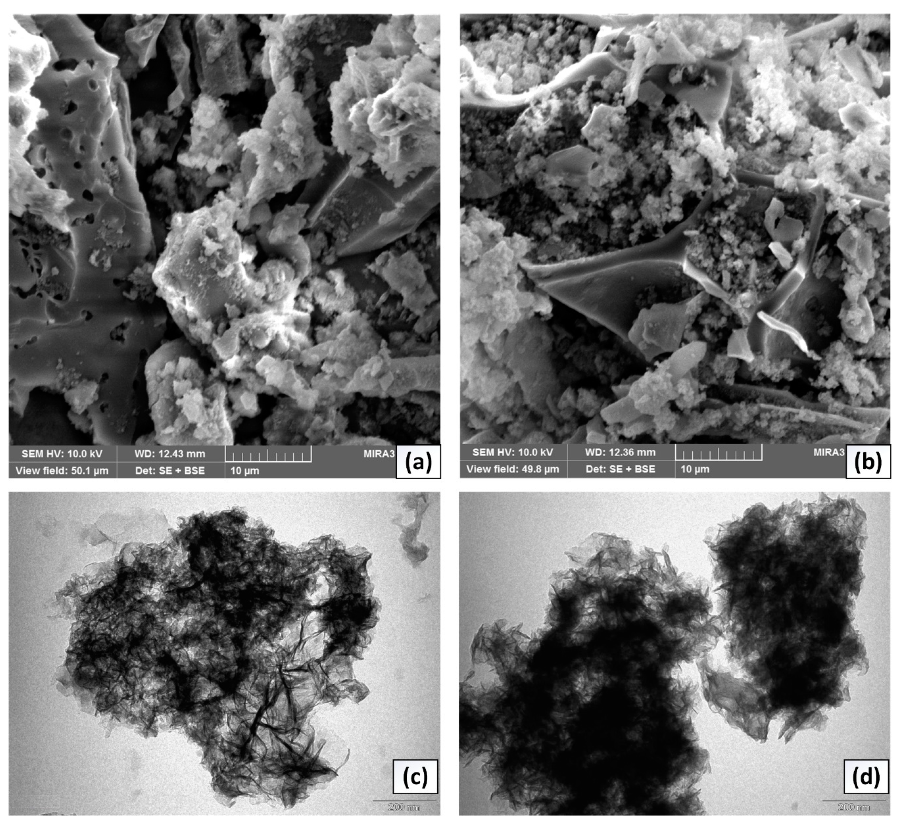 Nanomaterials 10 00336 g002