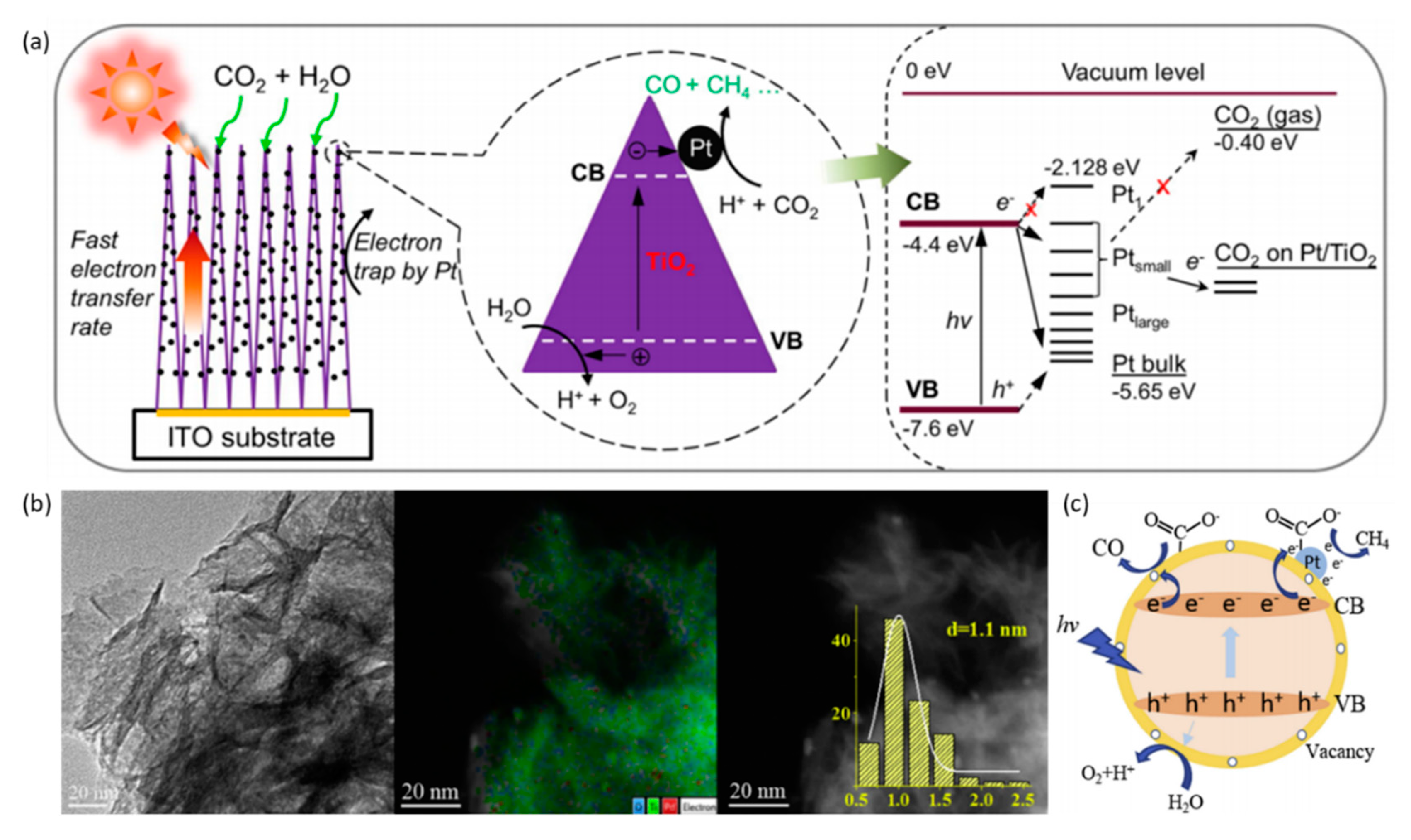 Nanomaterials 10 00337 g007 Nanomaterials 10 00337 g007