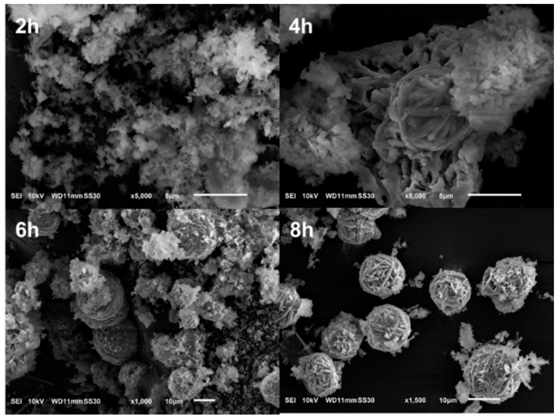 Nanomaterials 10 00339 g002 Nanomaterials 10 00339 g002