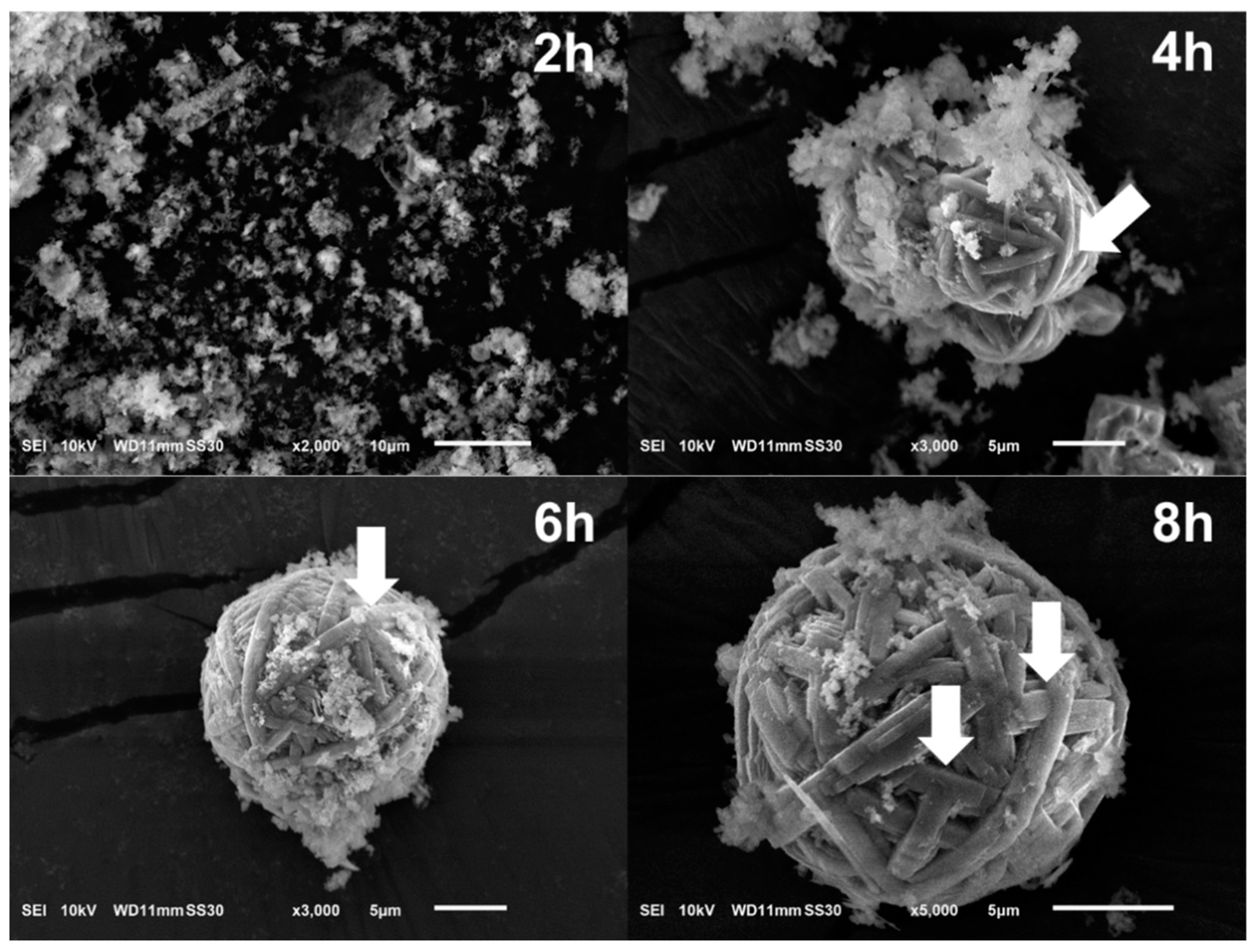 Nanomaterials 10 00339 g004 Nanomaterials 10 00339 g004