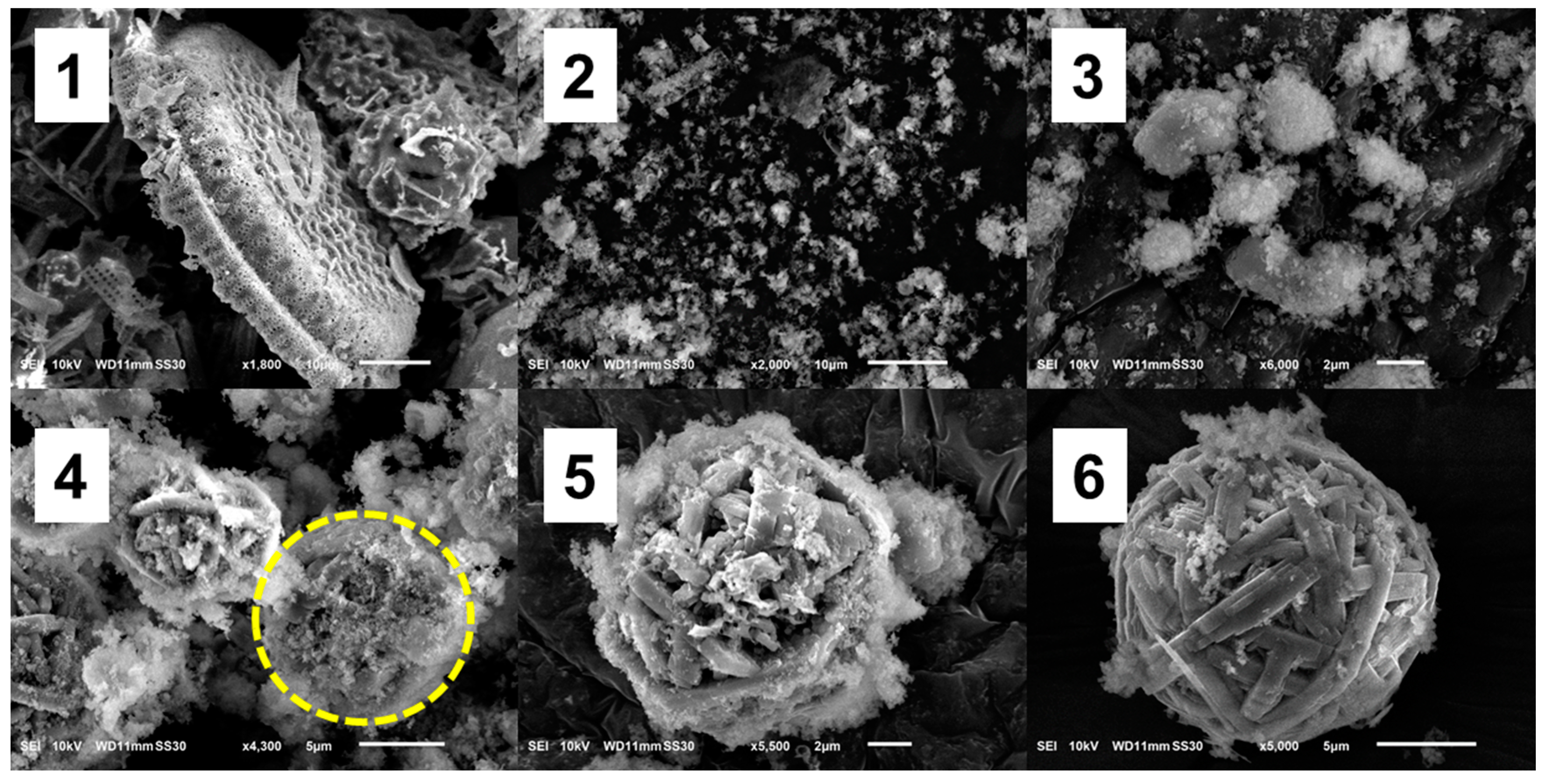 Nanomaterials 10 00339 g005 Nanomaterials 10 00339 g005