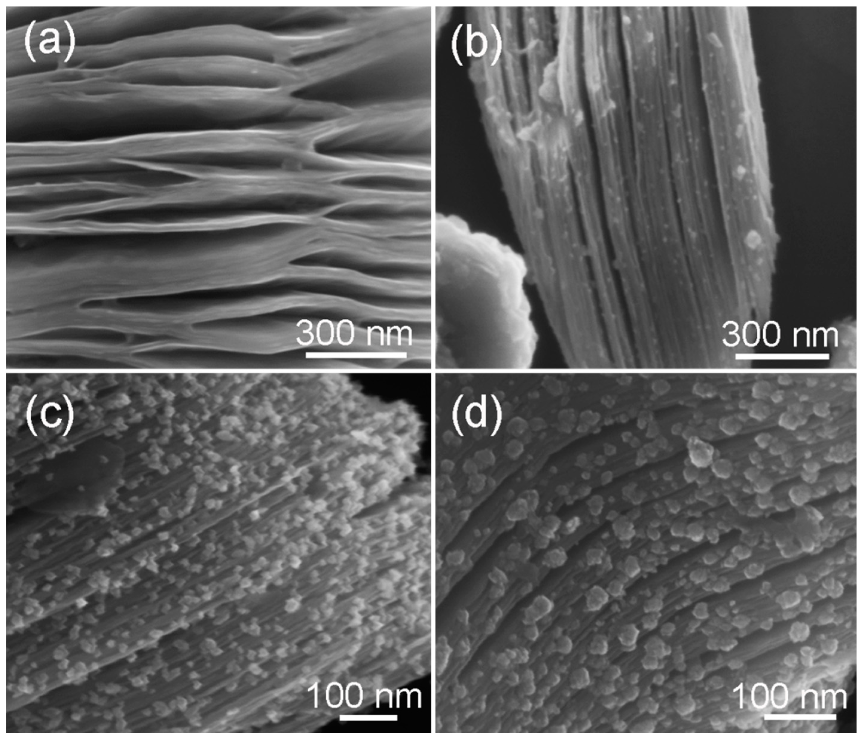Nanomaterials 10 00345 g003 Nanomaterials 10 00345 g003