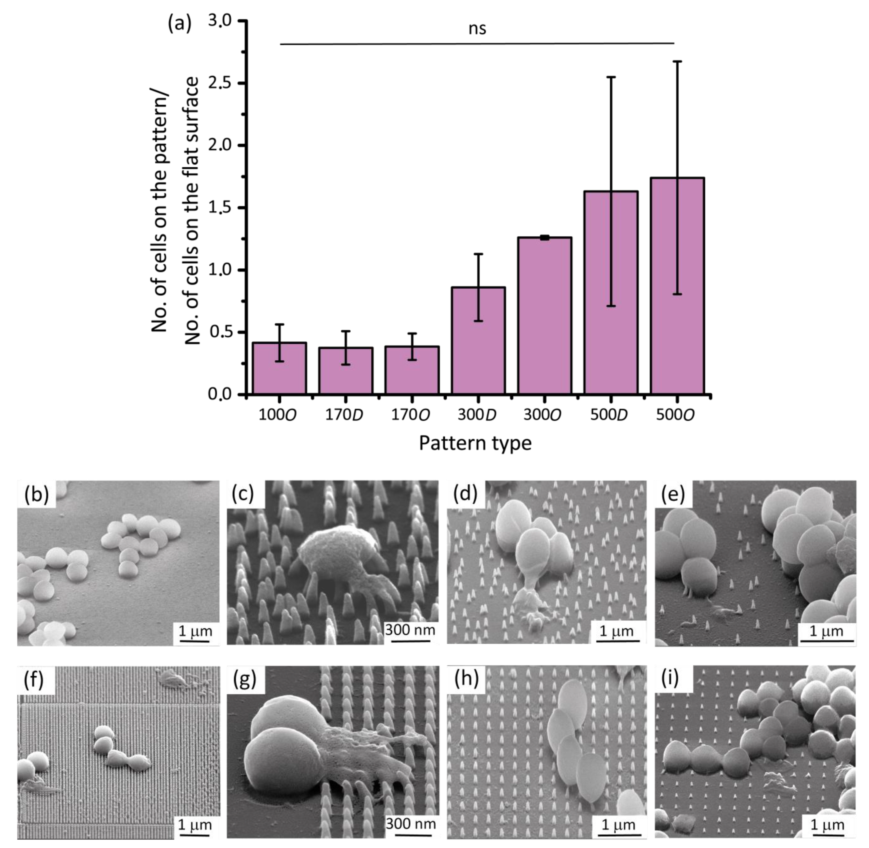 Nanomaterials 10 00347 g003 Nanomaterials 10 00347 g003
