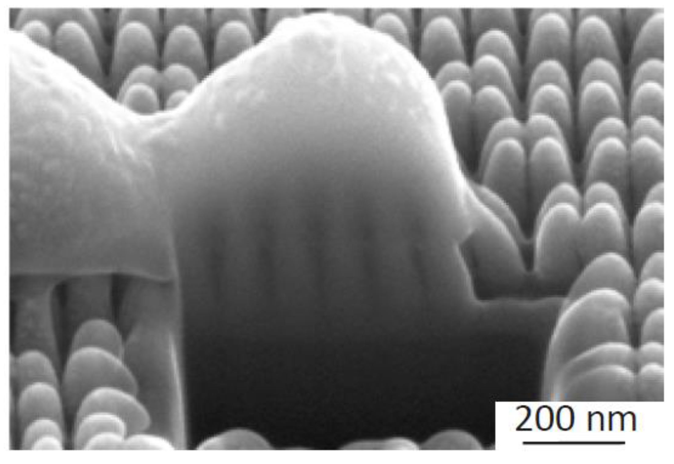 Nanomaterials 10 00347 g005 Nanomaterials 10 00347 g005