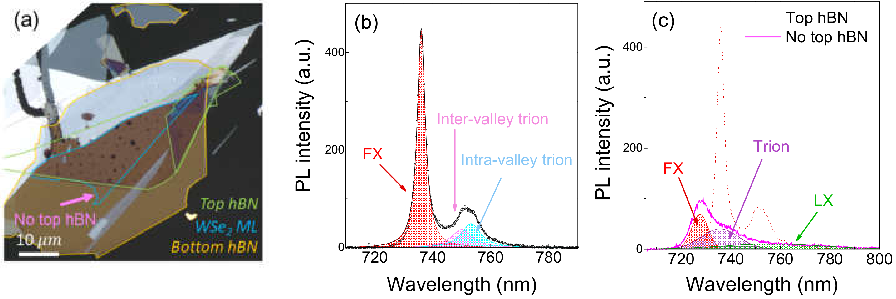 Nanomaterials 10 00350 g001