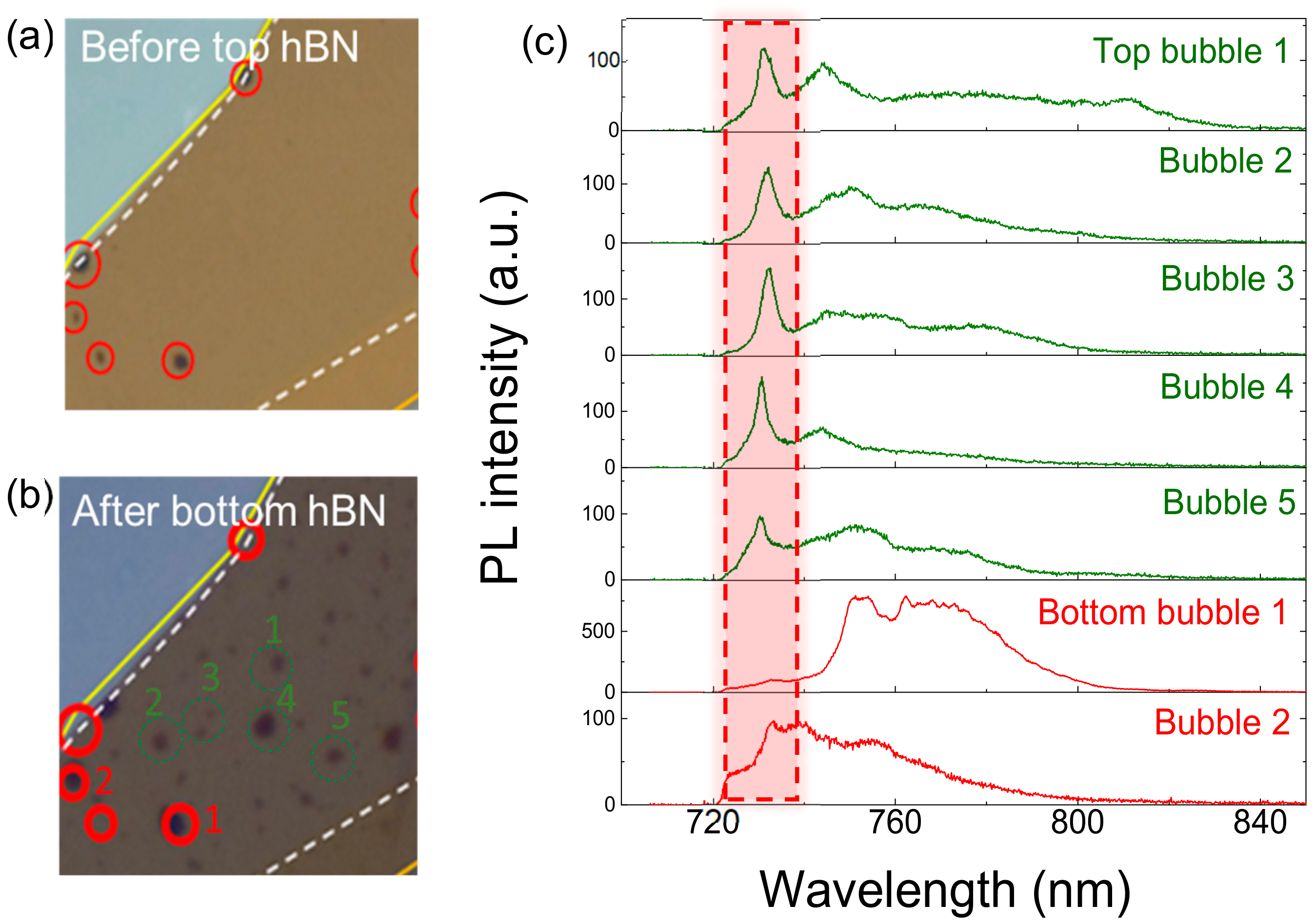 Nanomaterials 10 00350 g005