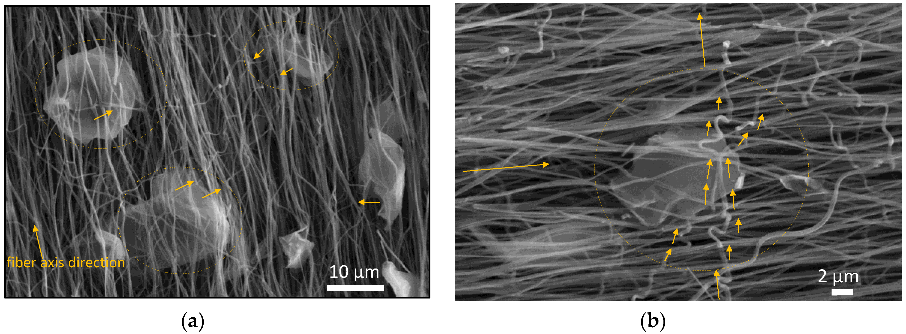 Nanomaterials 10 00351 g008