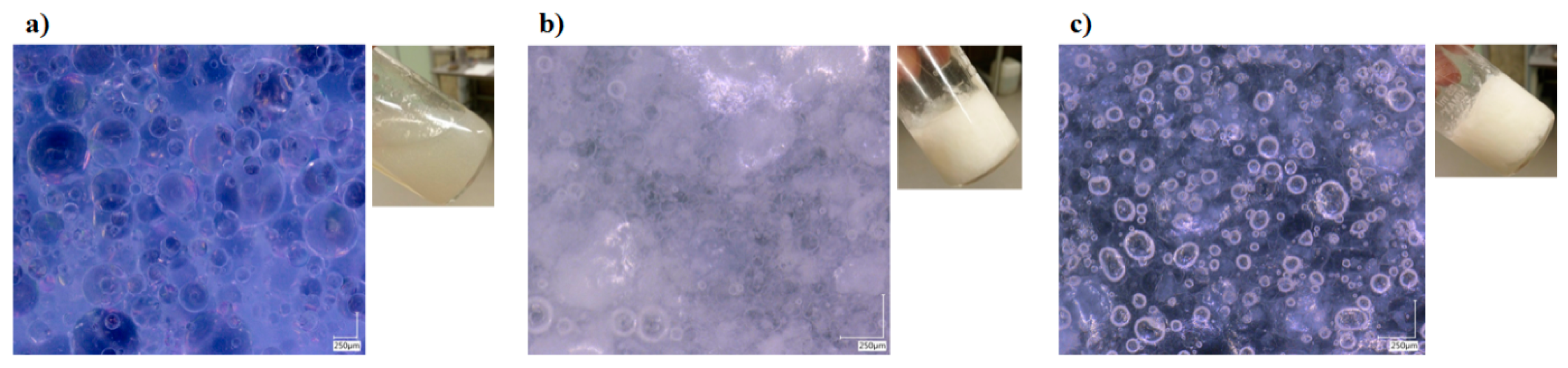 Nanomaterials 10 00356 g001