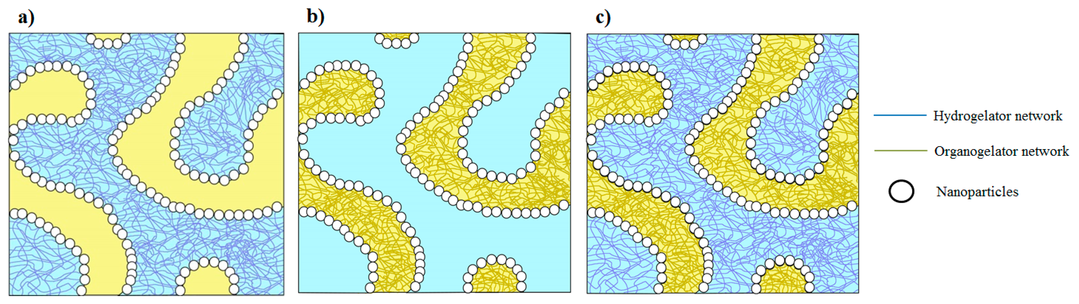 Nanomaterials 10 00356 g003