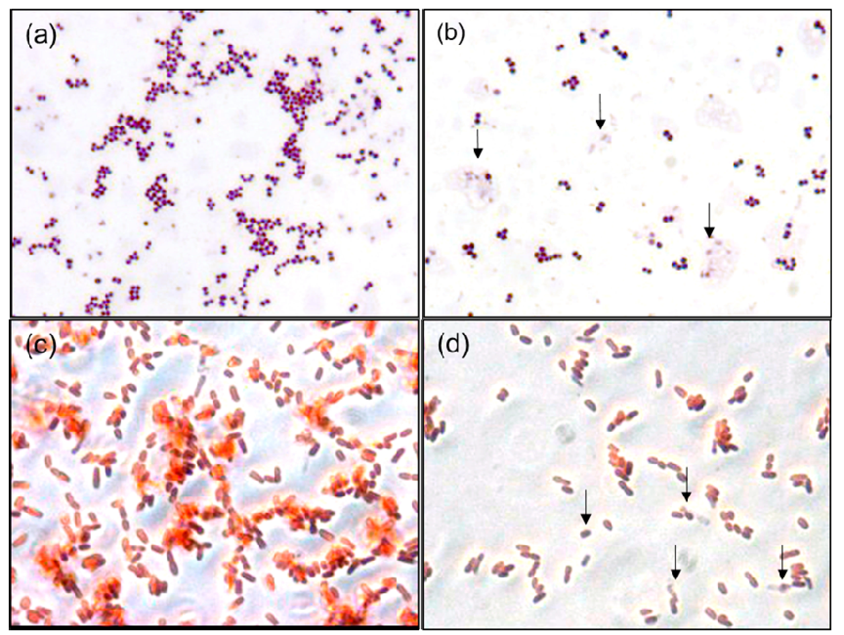 Nanomaterials 10 00360 g007 Nanomaterials 10 00360 g007