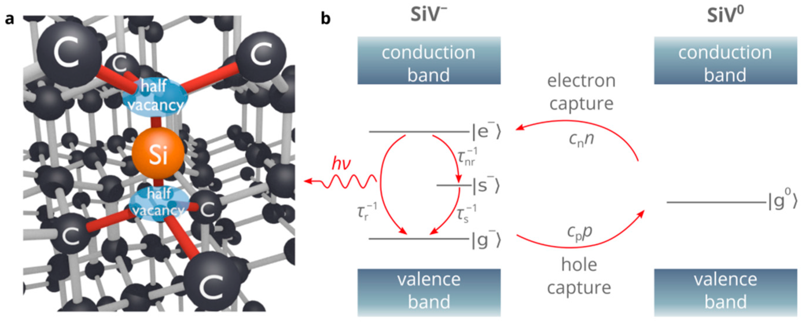 Nanomaterials 10 00361 g001