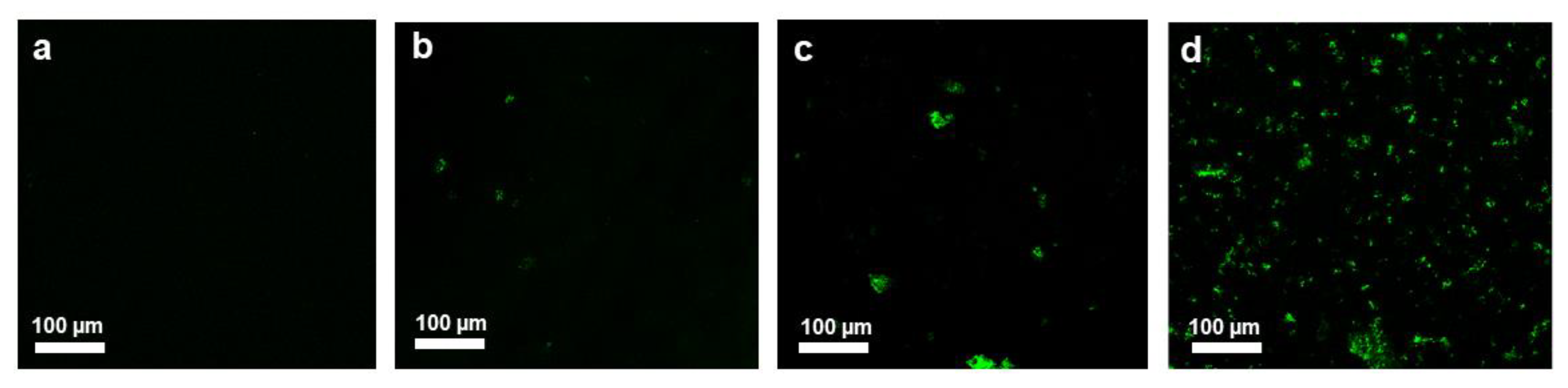 Nanomaterials 10 00366 g009 Nanomaterials 10 00366 g009
