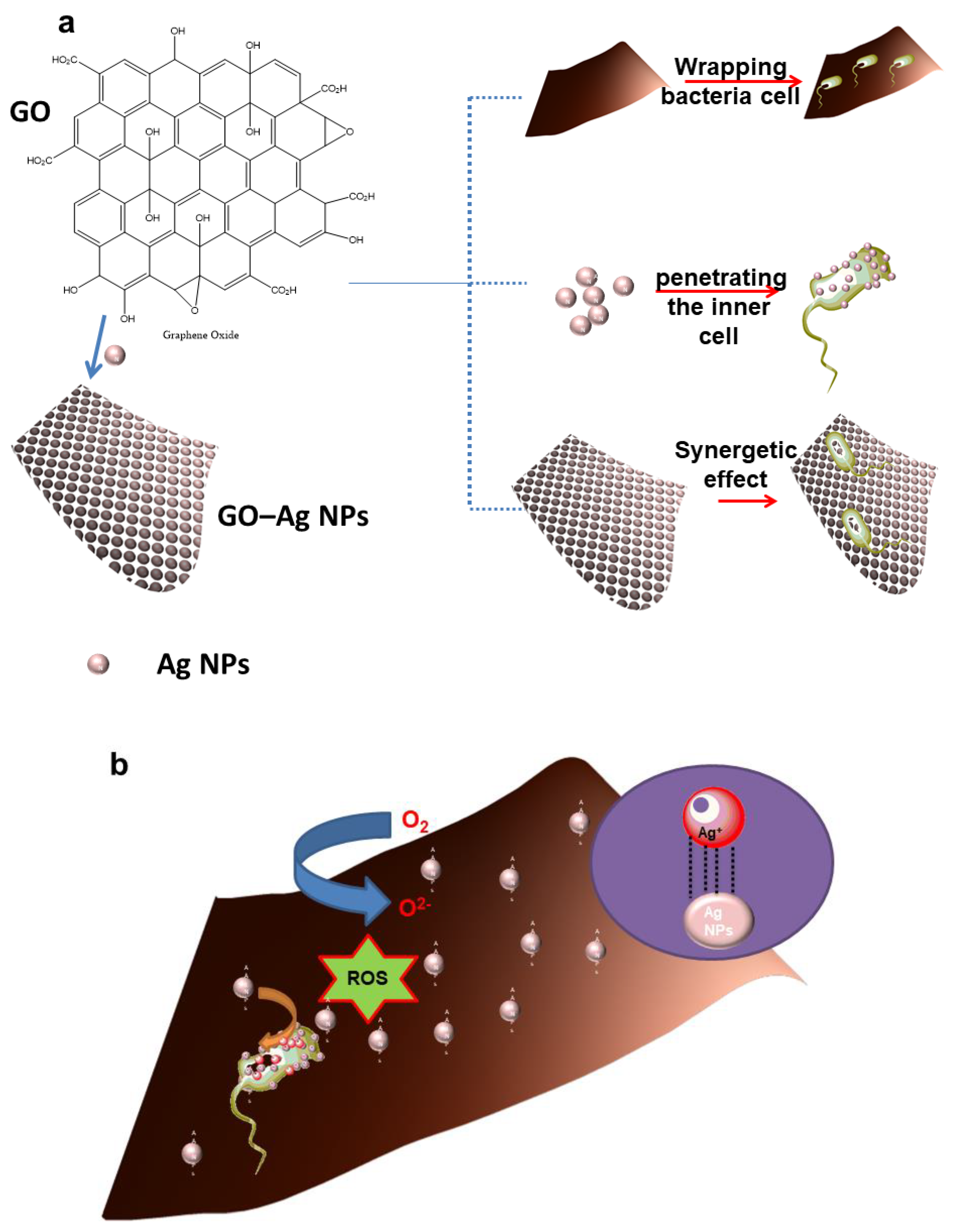Nanomaterials 10 00366 g010 Nanomaterials 10 00366 g010
