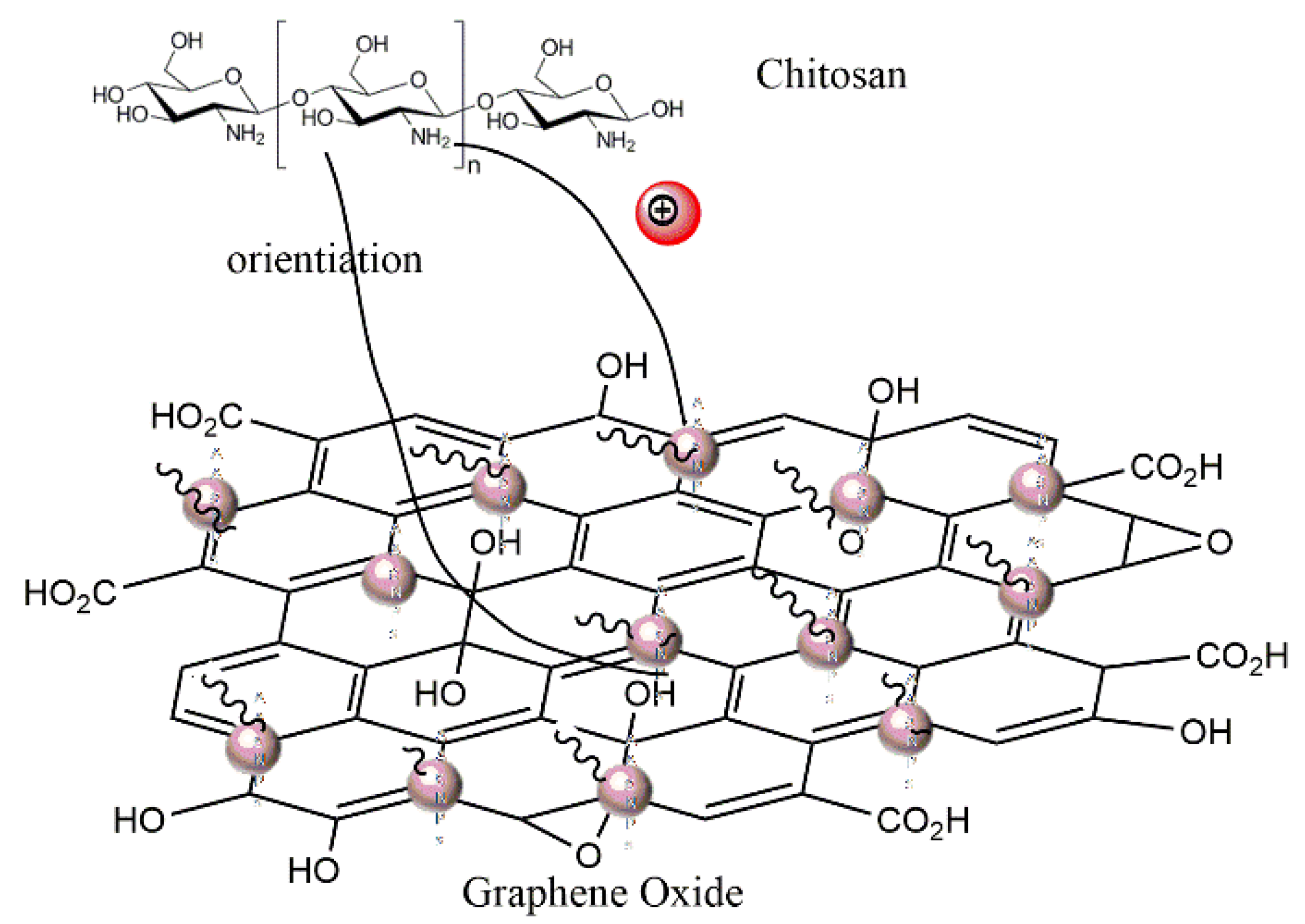 Nanomaterials 10 00366 sch001 Nanomaterials 10 00366 sch001