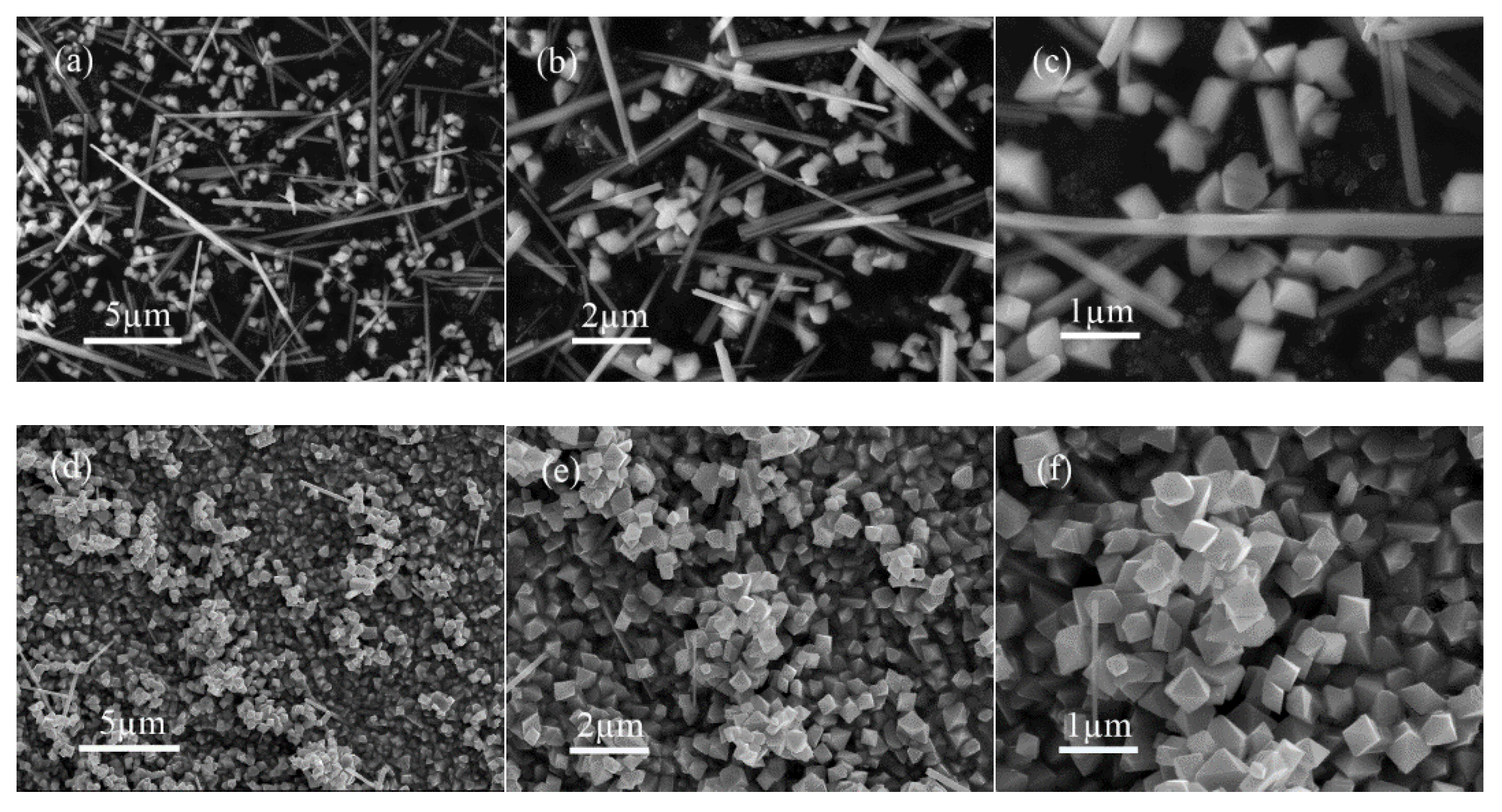 Nanomaterials 10 00367 g002