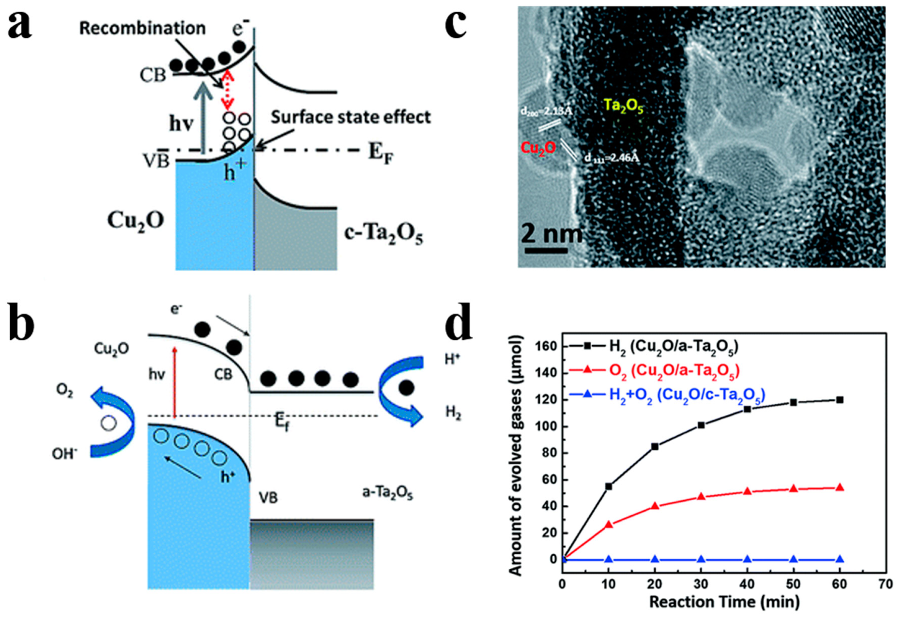 Nanomaterials 10 00378 g012 Nanomaterials 10 00378 g012