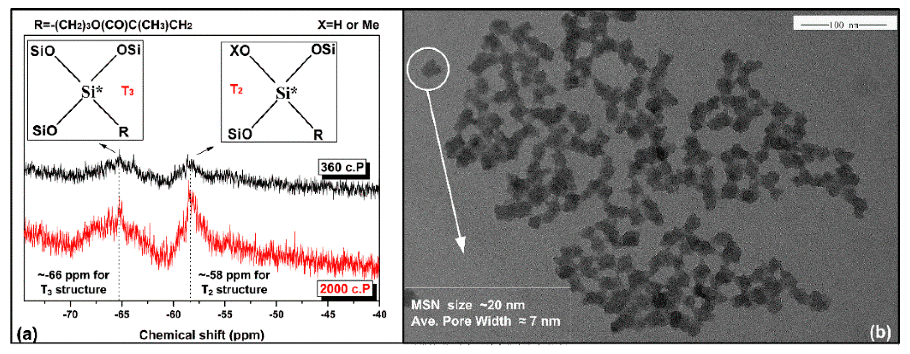 Nanomaterials 10 00381 g002