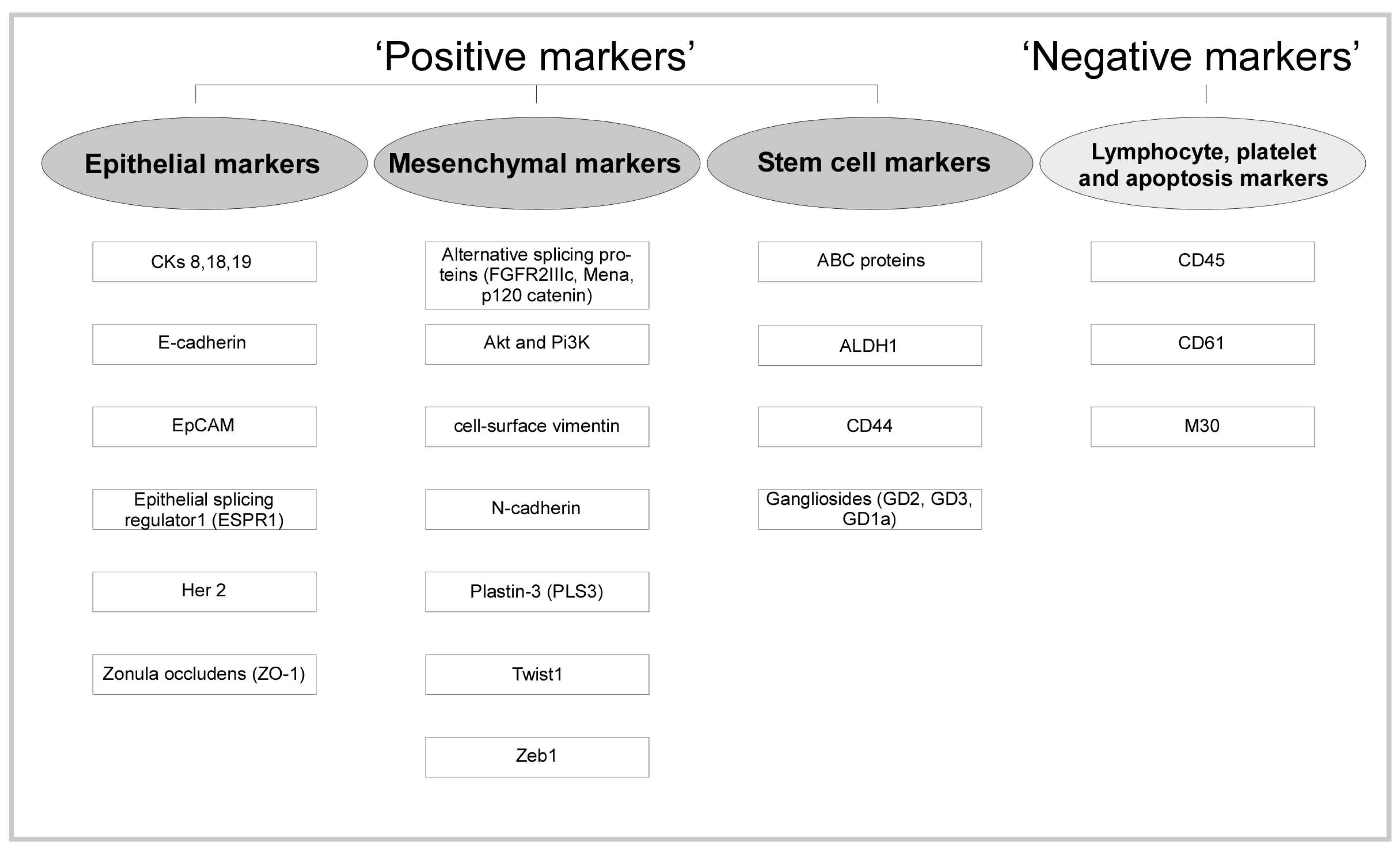 Nanomaterials 10 00383 g002