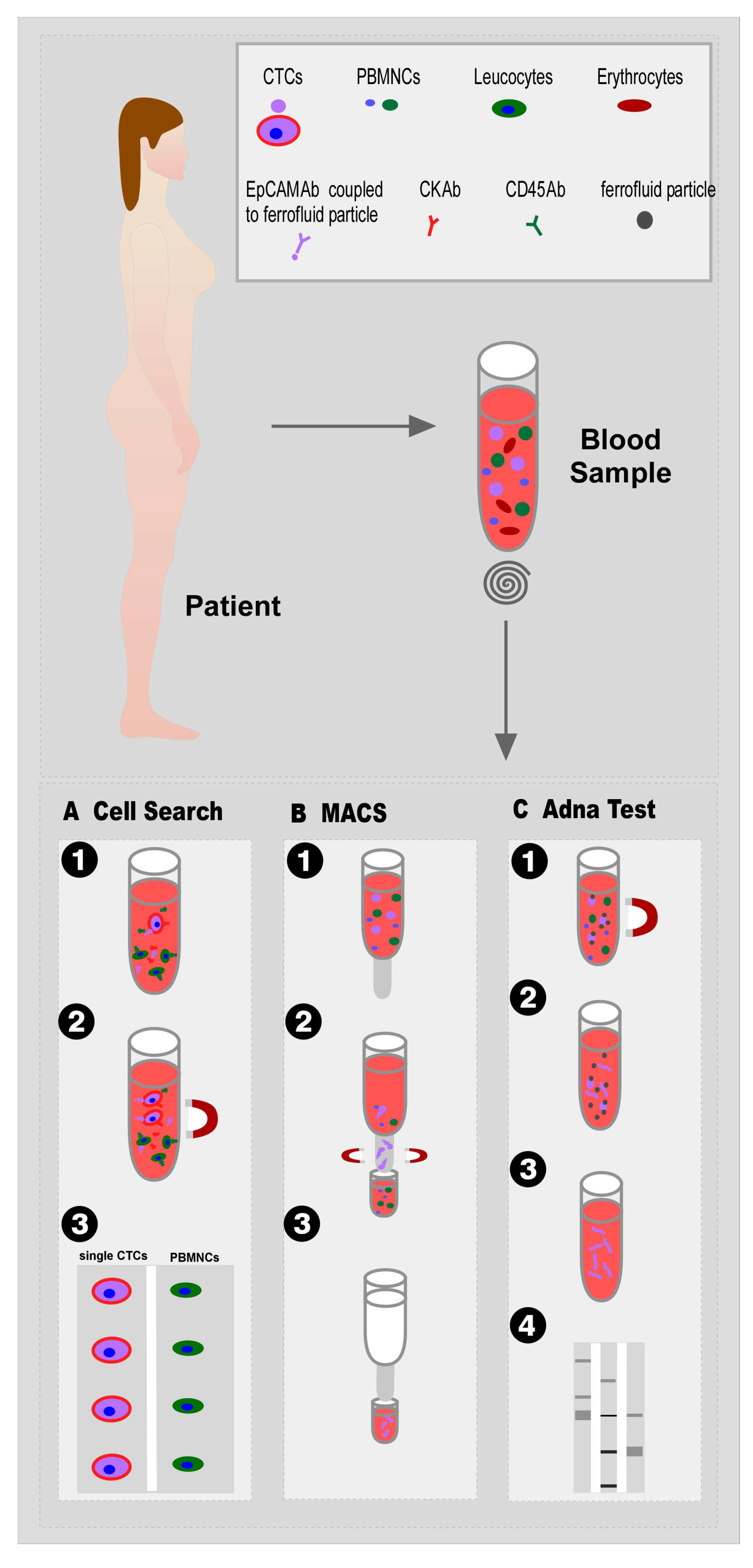 Nanomaterials 10 00383 g003