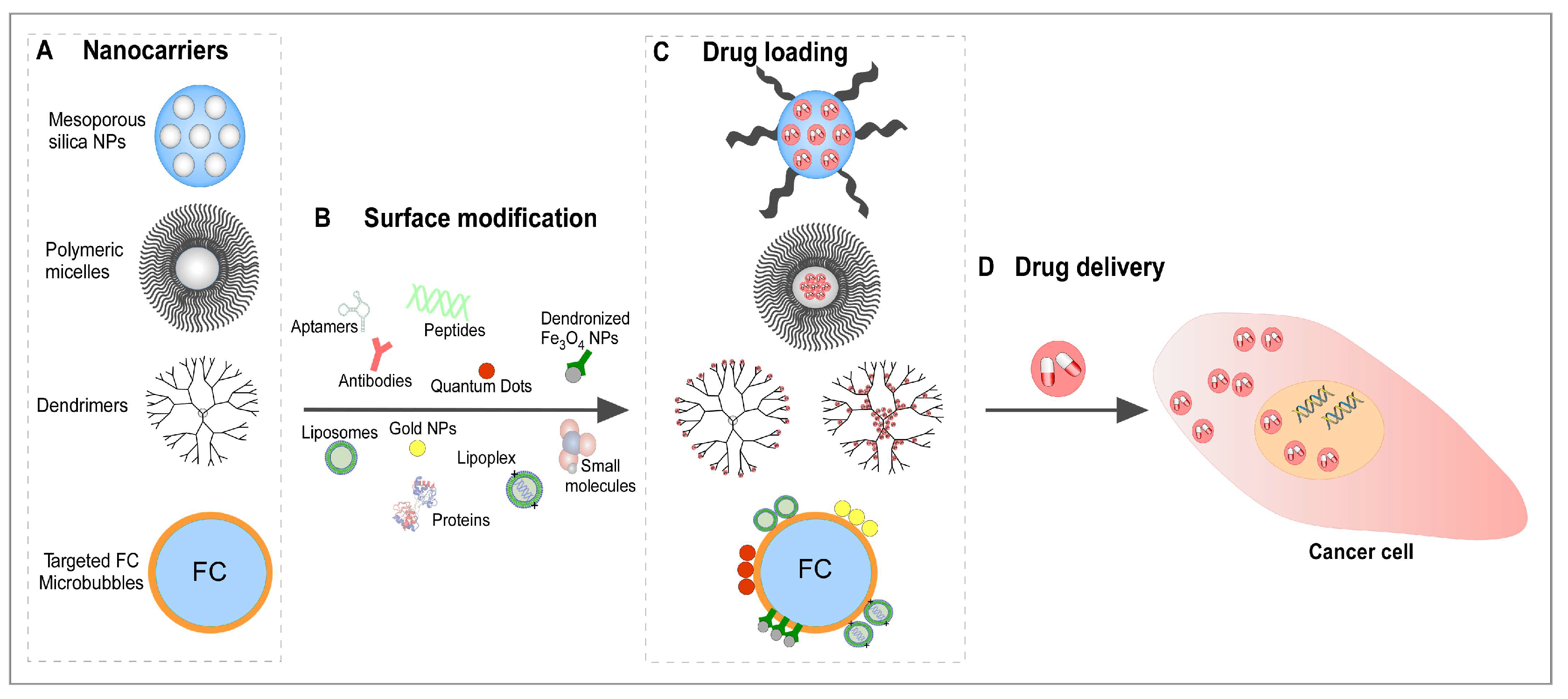 Nanomaterials 10 00383 g006