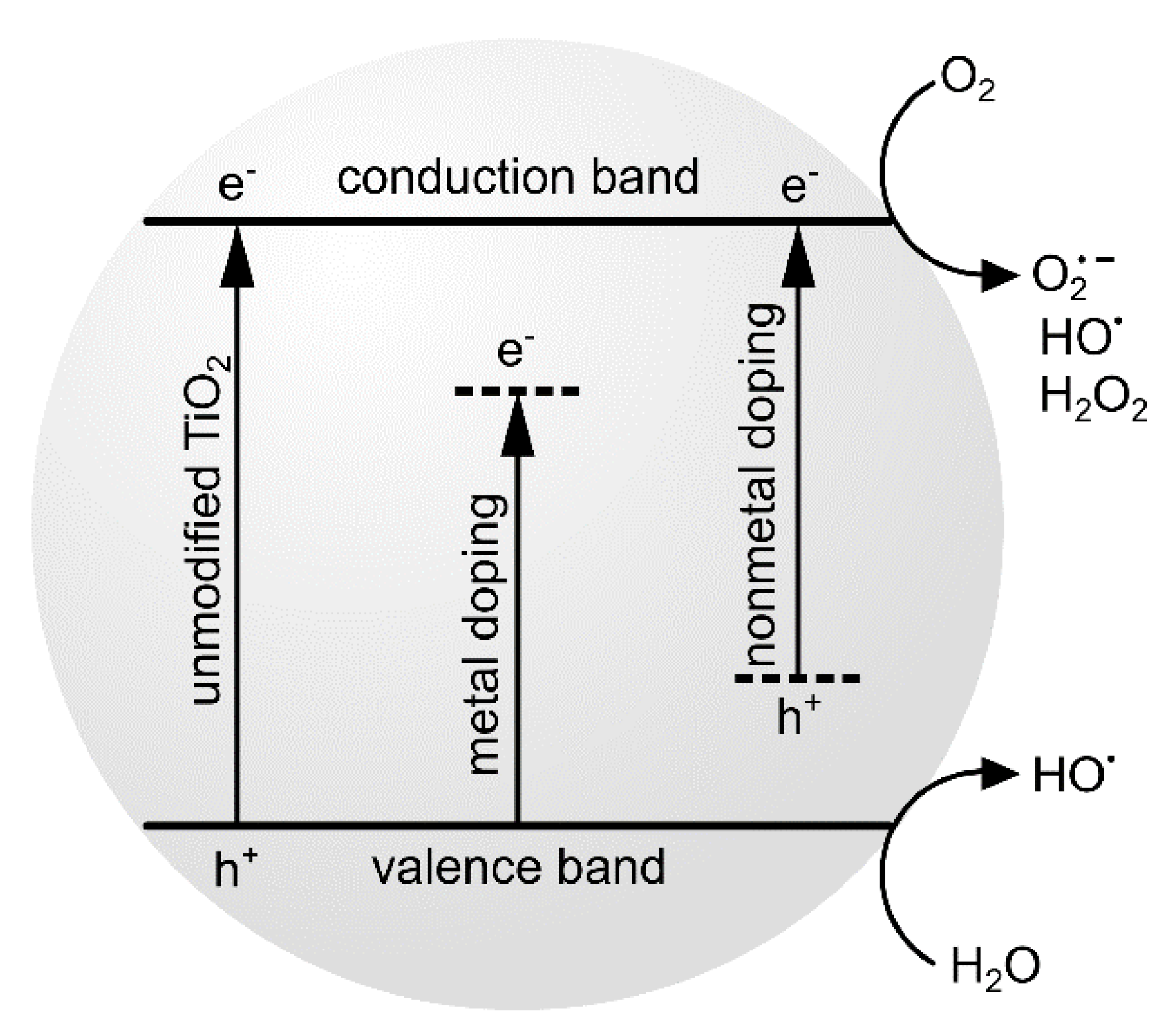 Nanomaterials 10 00387 g003