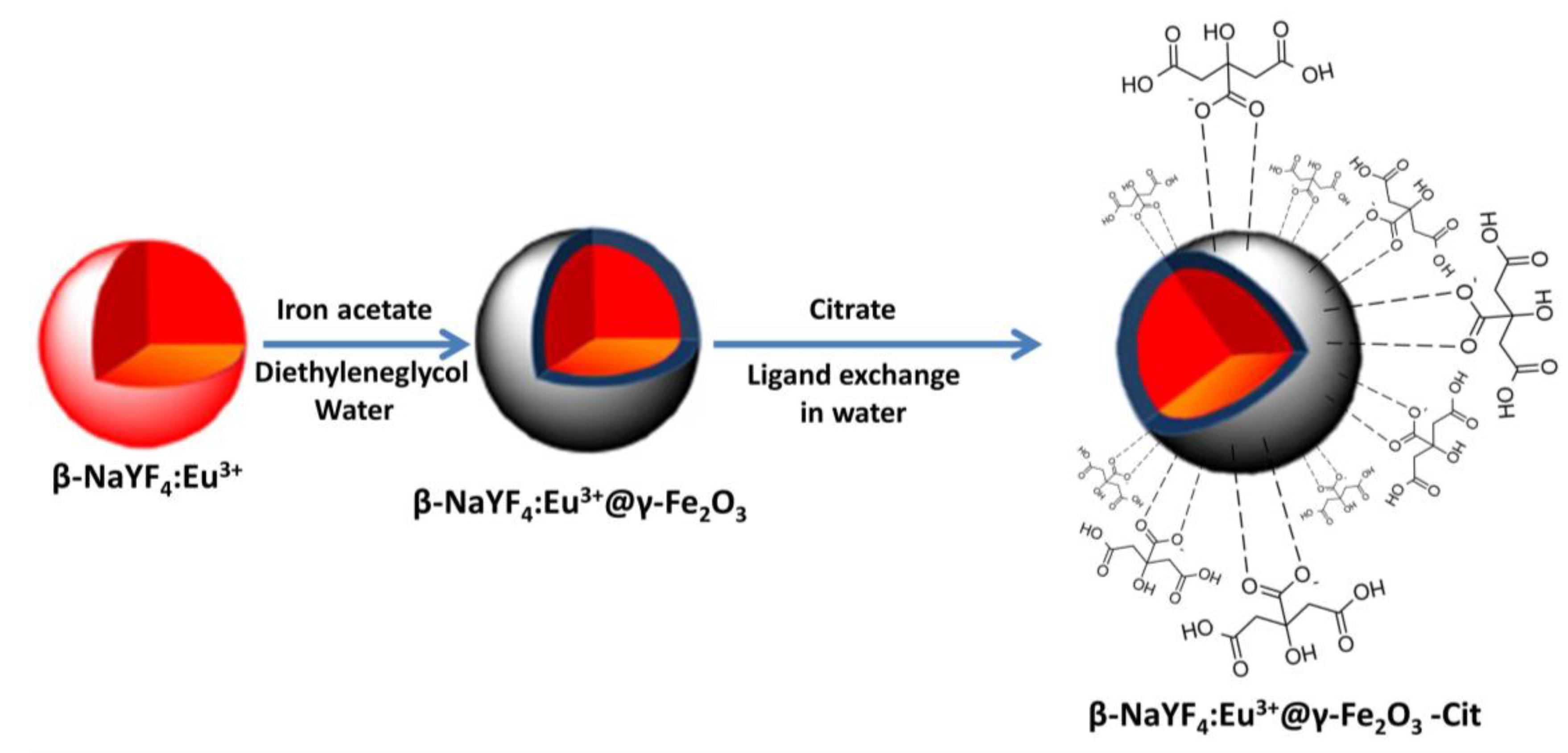 Nanomaterials 10 00393 g001 Nanomaterials 10 00393 g001