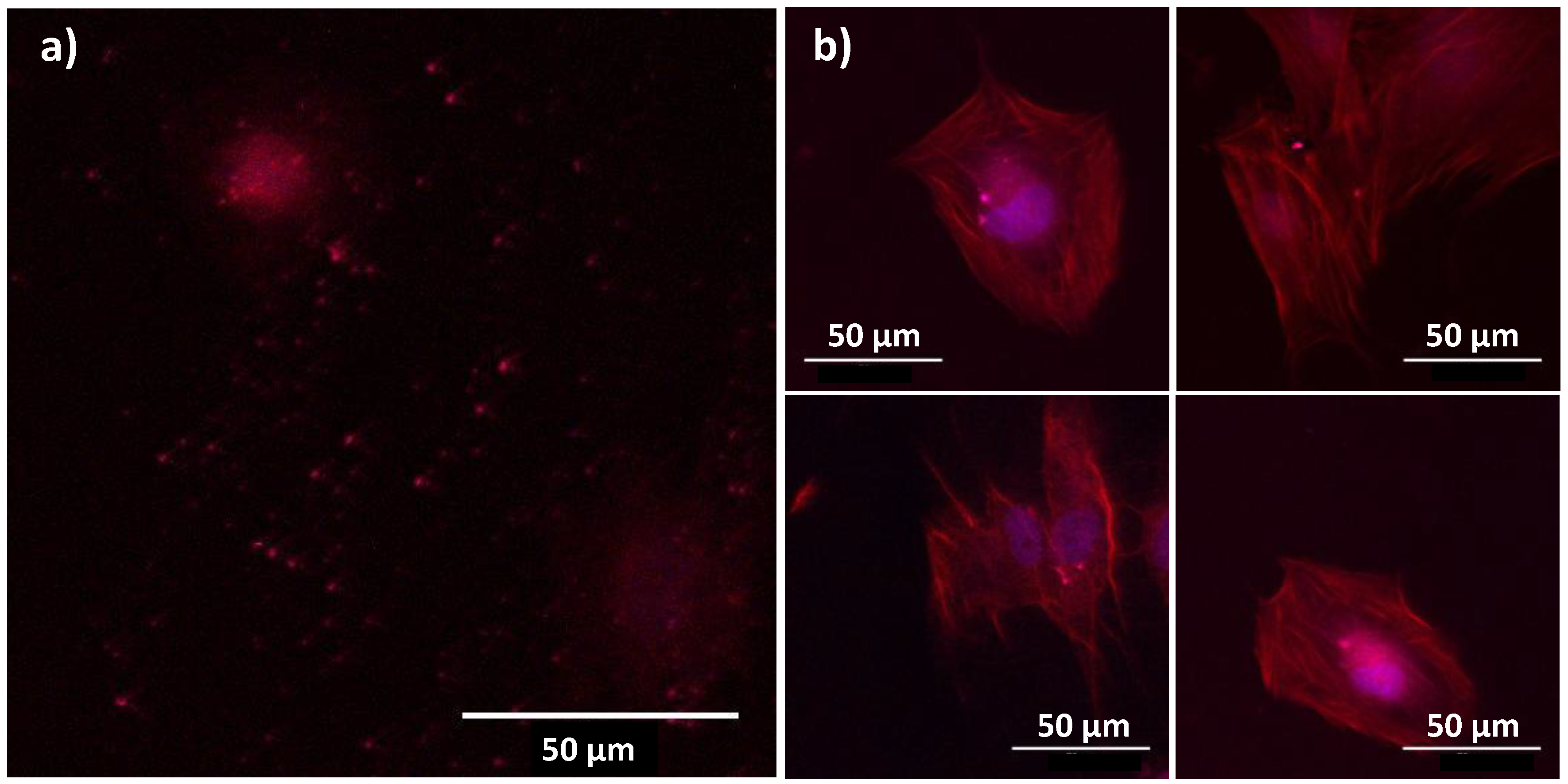 Nanomaterials 10 00393 g011 Nanomaterials 10 00393 g011