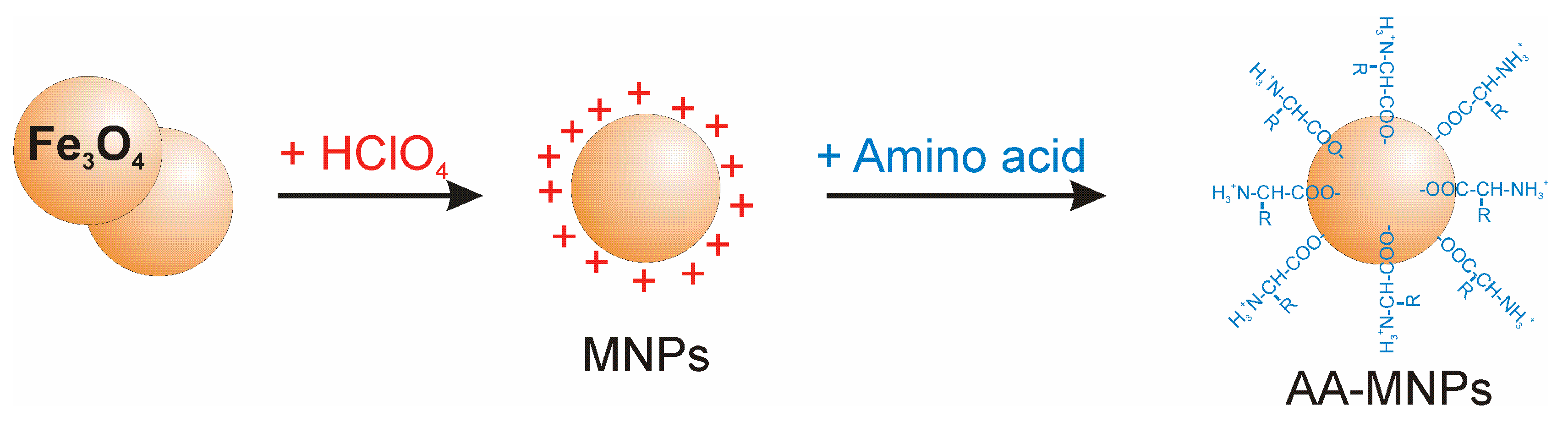 Nanomaterials 10 00394 g001