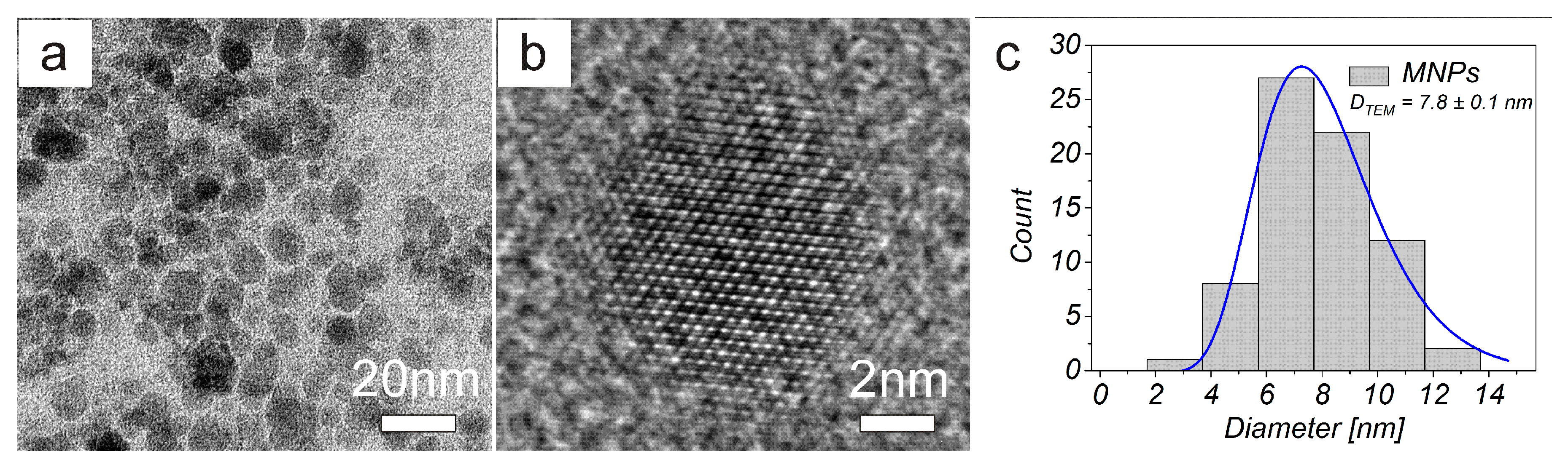 Nanomaterials 10 00394 g002