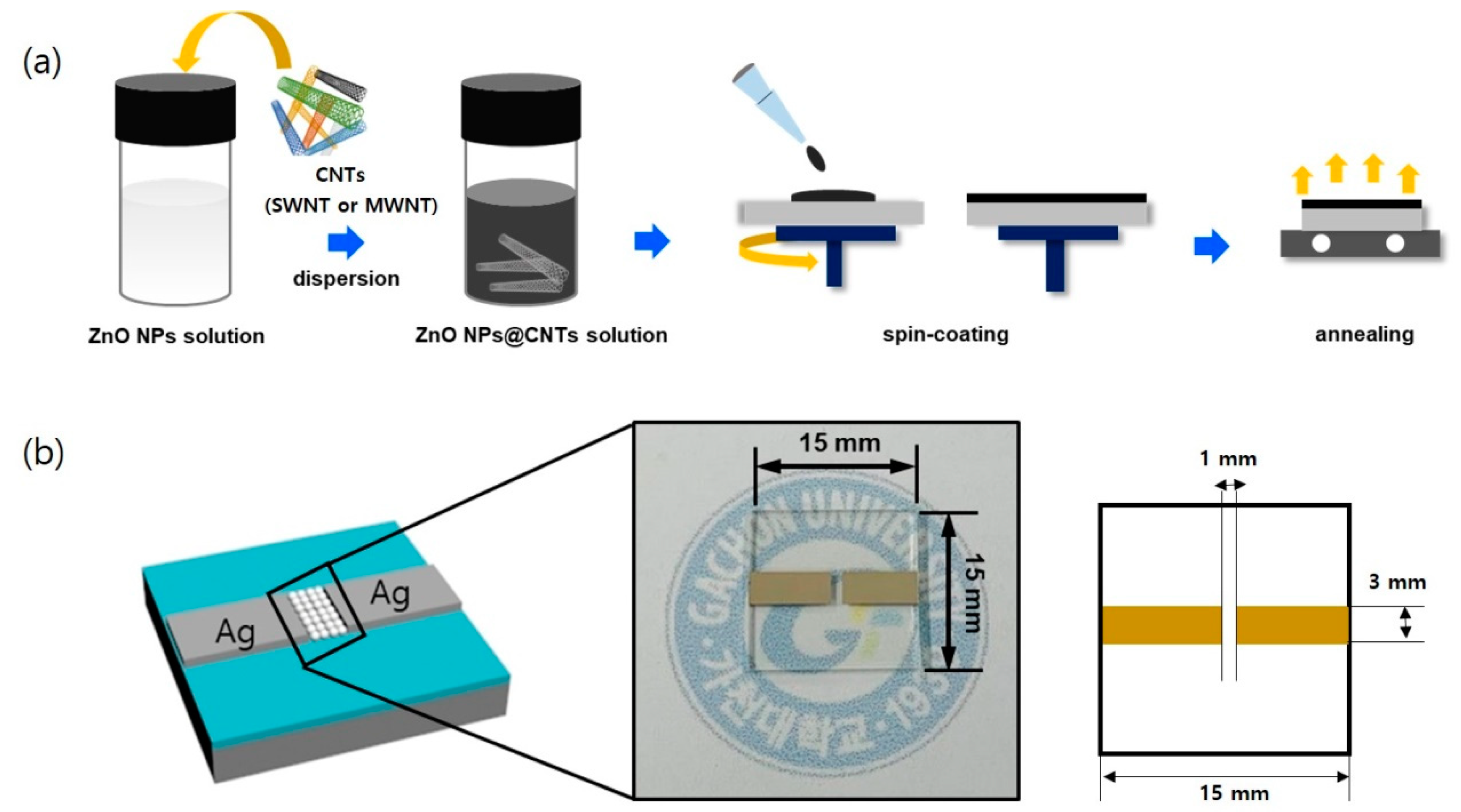 Nanomaterials 10 00395 g004