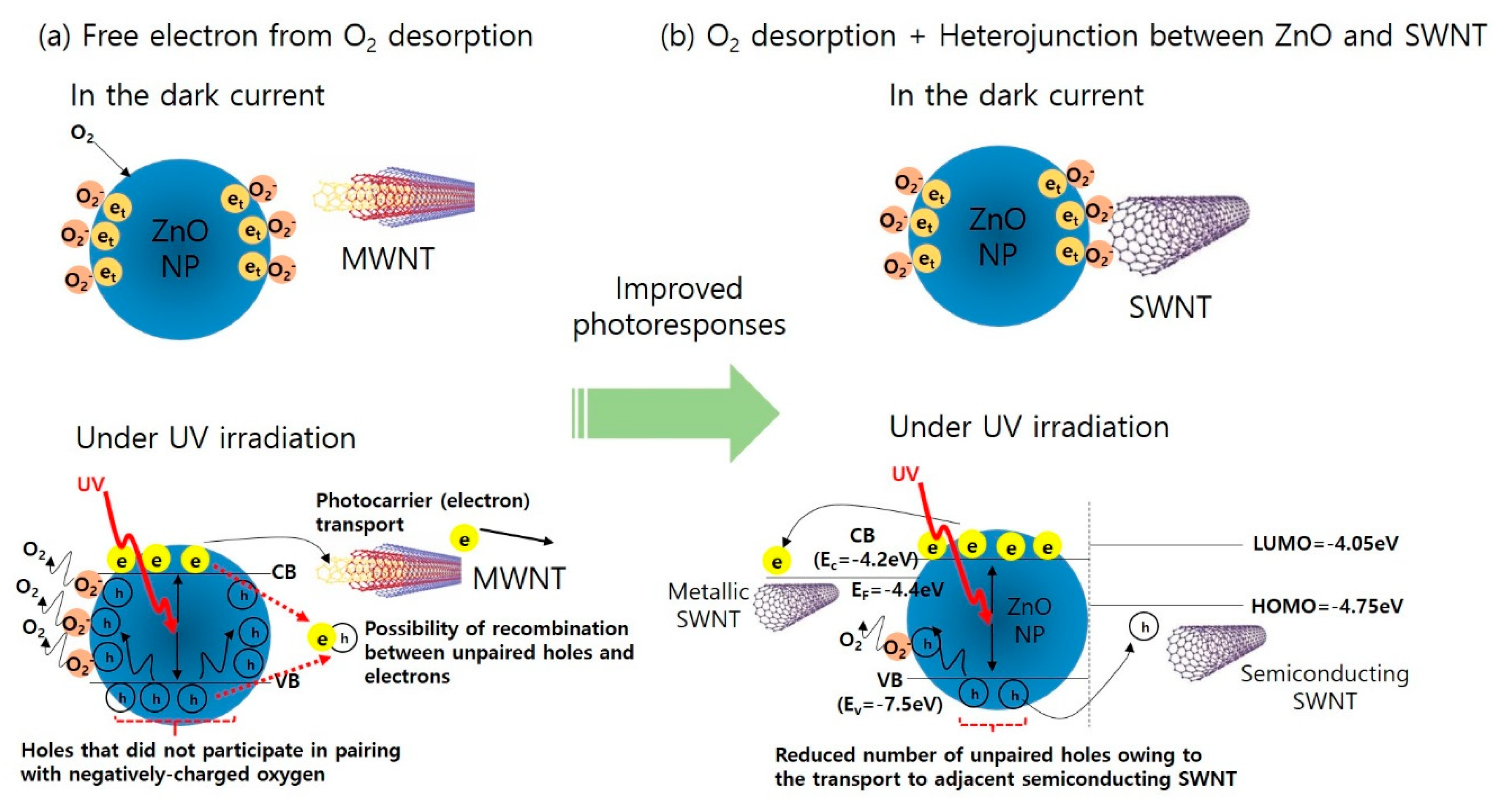 Nanomaterials 10 00395 g006