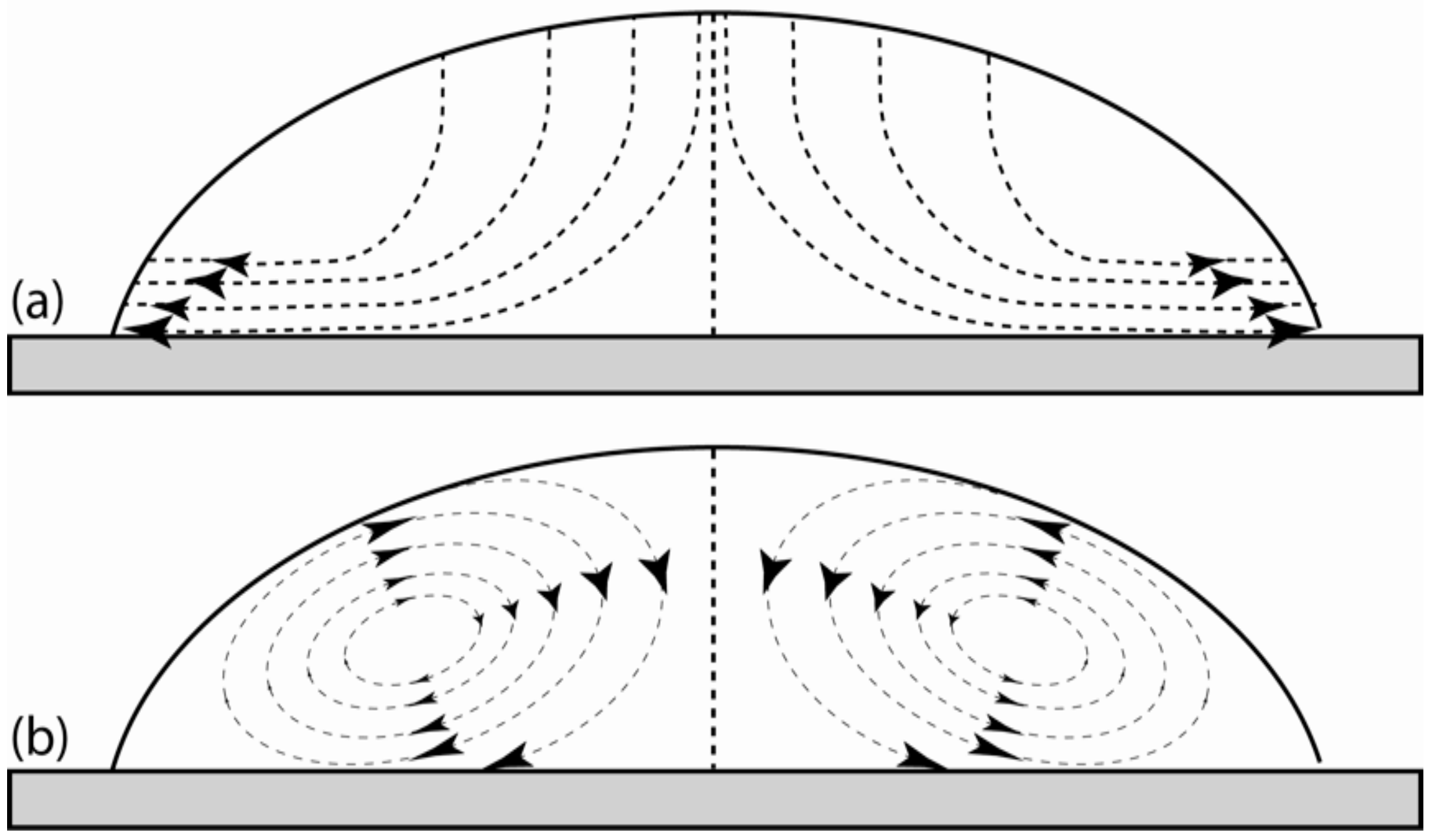 Nanomaterials 10 00397 g001