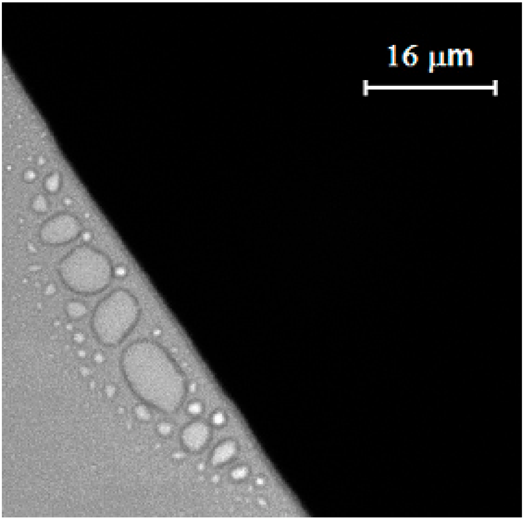 Nanomaterials 10 00397 g004