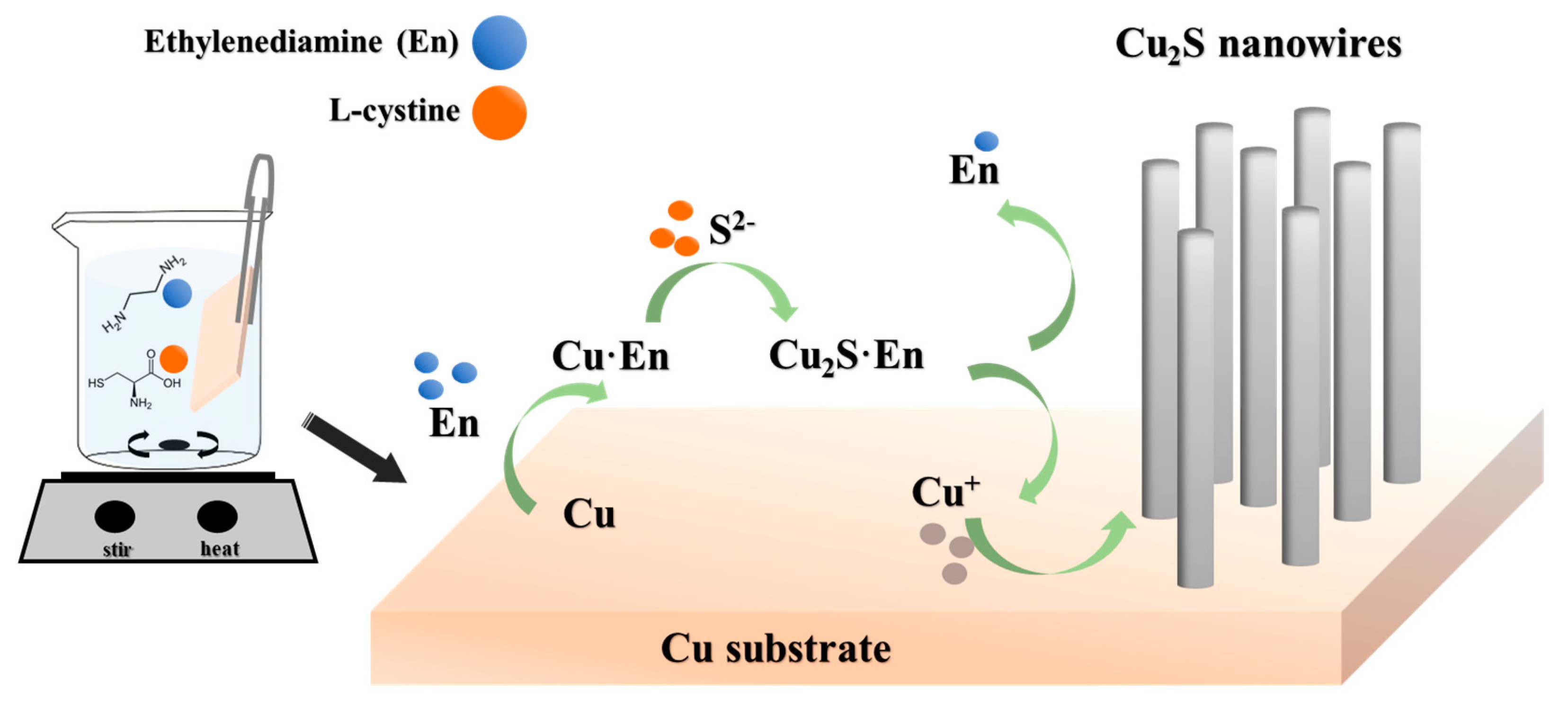 Nanomaterials 10 00399 g001