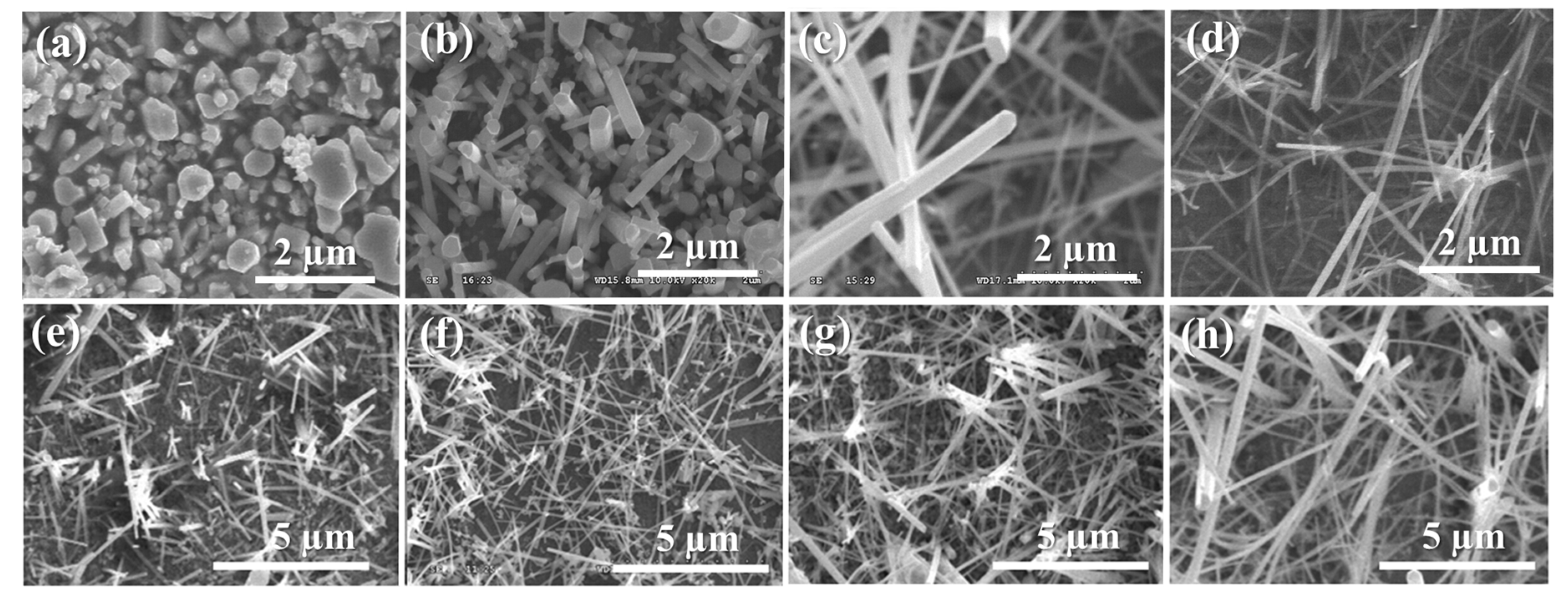 Nanomaterials 10 00399 g002